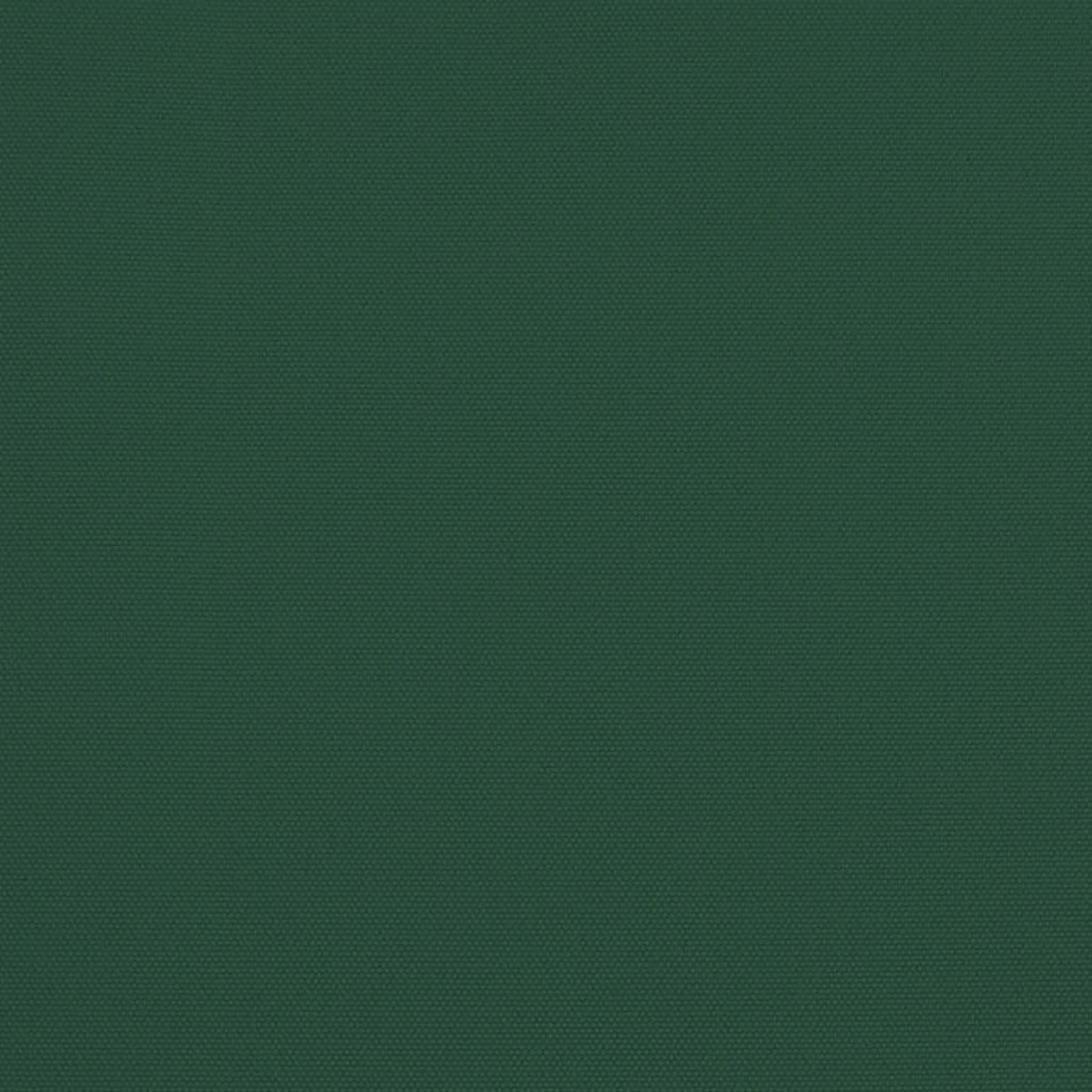 Sfondo verde scuro uniforme. Il colore è un verde intenso e saturo, che riempie l'intero fotogramma.