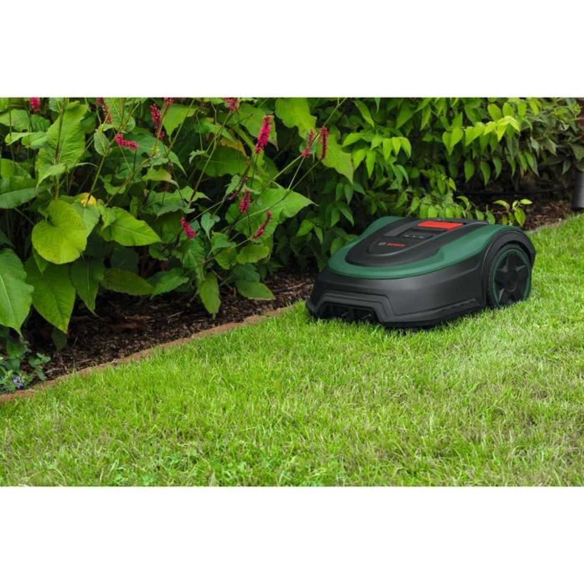 Mähroboter auf grünem Rasen, mit Hecken und Pflanzen im Hintergrund.