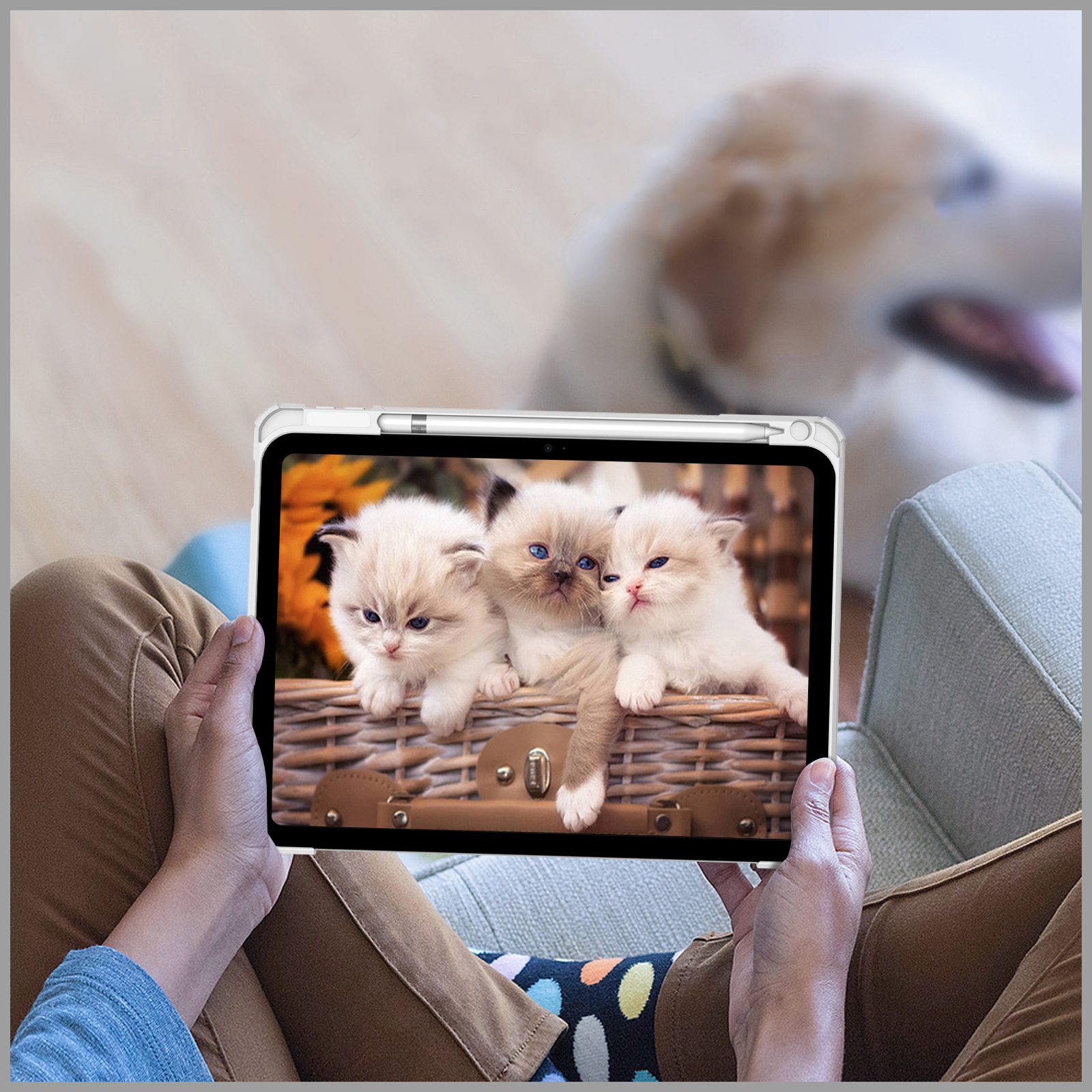 Eine Person hält ein Tablet mit Kätzchen auf dem Bildschirm und Hund im Hintergrund.