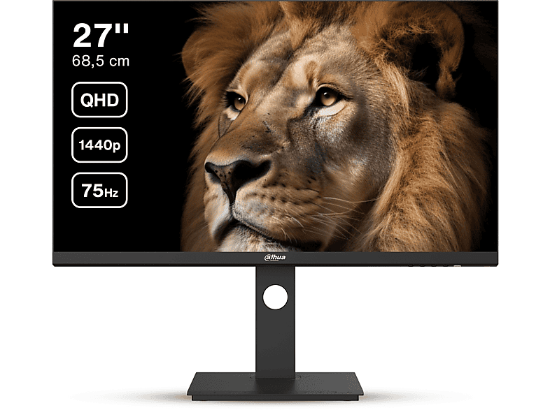 DAHUA TECHNOLOGY LM27-P301A 27 Zoll UFHD Monitor (5 ms Reaktionszeit , 75 Hz , 75 Hz nativ)