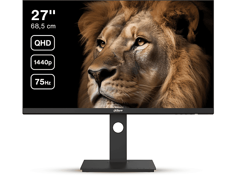 Monitor - DAHUA TECHNOLOGY DHILM27P301AA5