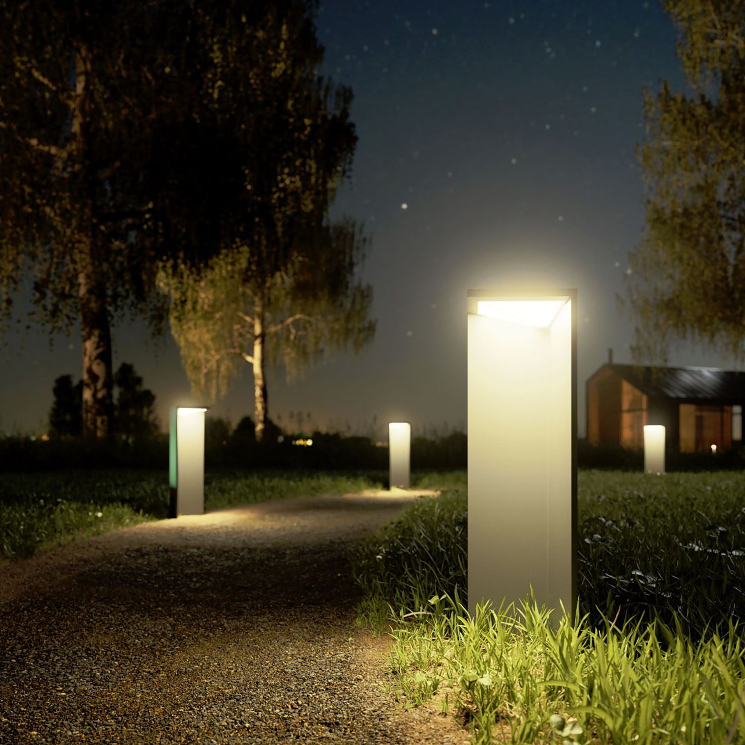 Sentier éclairé par des lumières rectangulaires la nuit, arbres en arrière-plan, ciel sombre.
