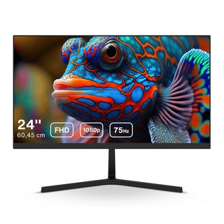 DAHUA TECHNOLOGY LM24-B201S - 24 inch - 1920 x 1080 (Full HD) - IPS (In-Plane Switching)
