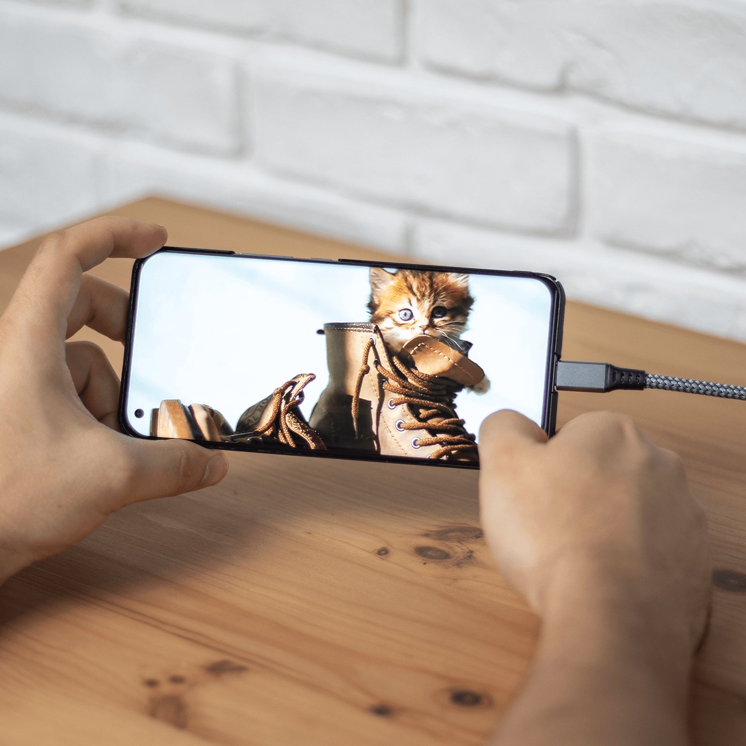 Dłonie trzymające telefon z kocięciem w bucie. Telefon jest podłączony do ładowarki.