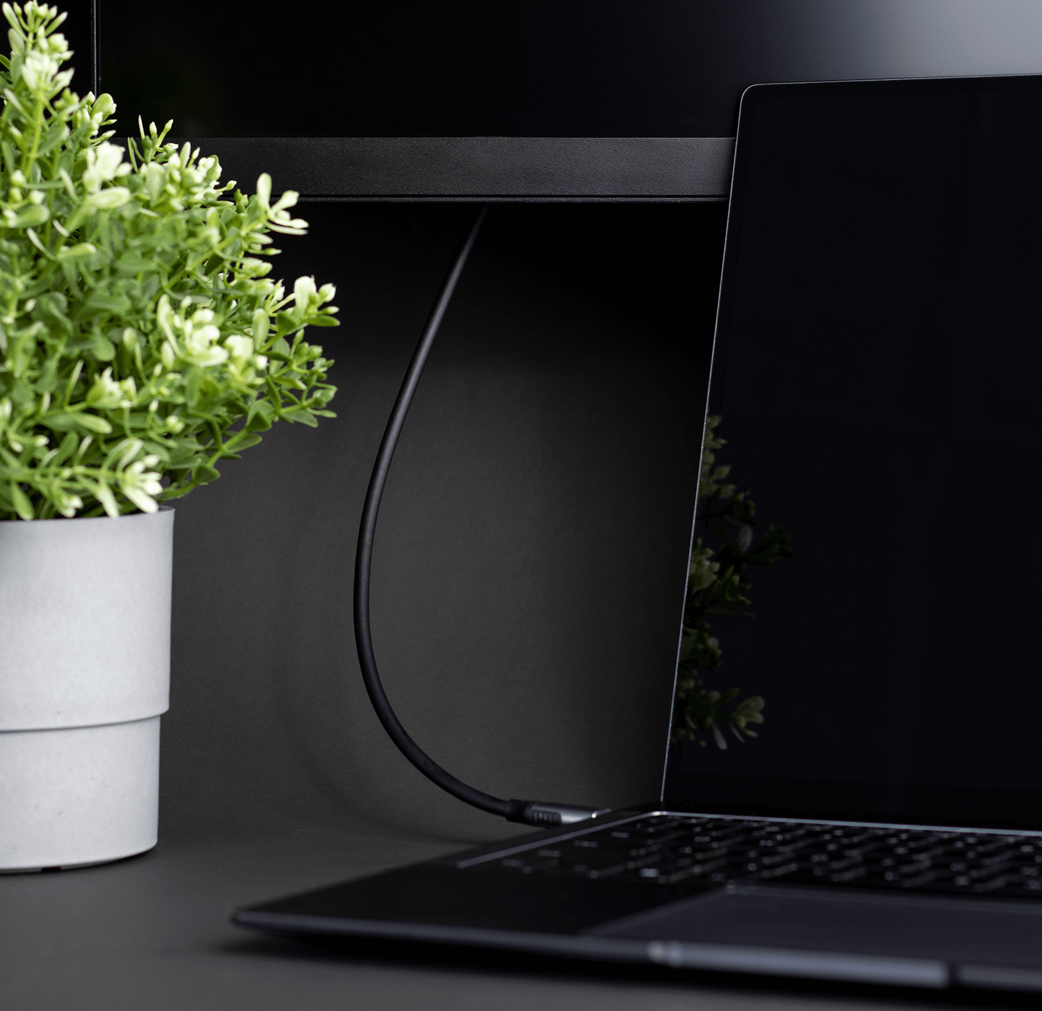 Laptop na biurku z rośliną i czarnym kablem podłączonym do monitora w tle.