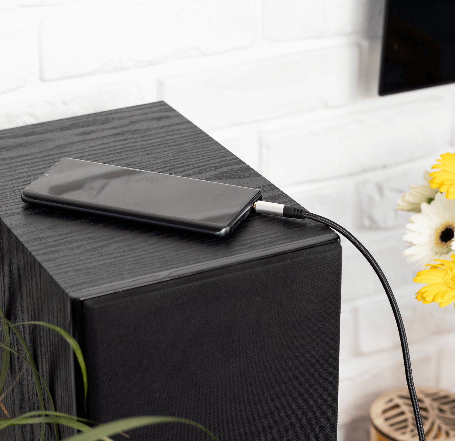 Ein Smartphone, das über ein Kabel mit einem Lautsprecher verbunden ist. Im Hintergrund eine Vase mit Blumen.
