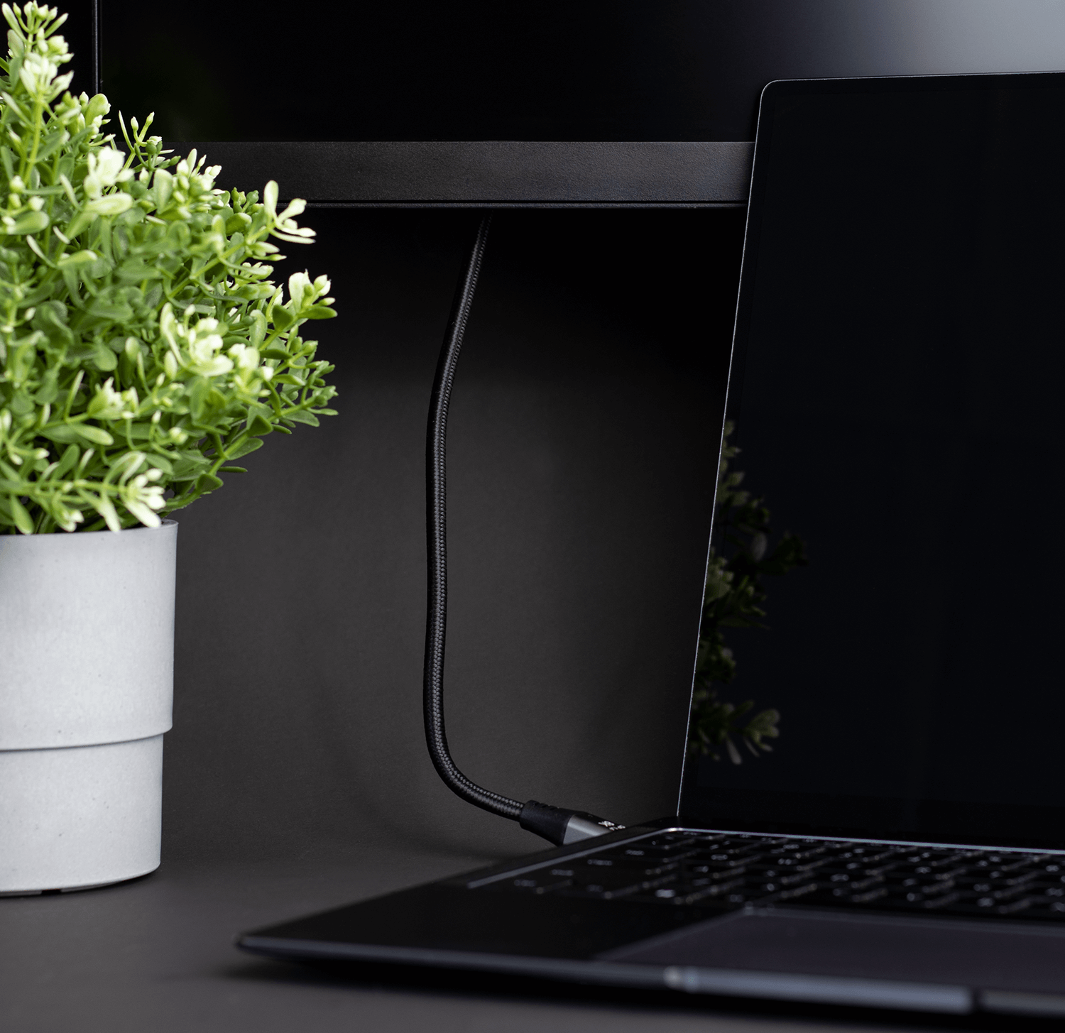 Laptop jest podłączony do czarnego kabla. Zielona roślina znajduje się w doniczce obok laptopa.