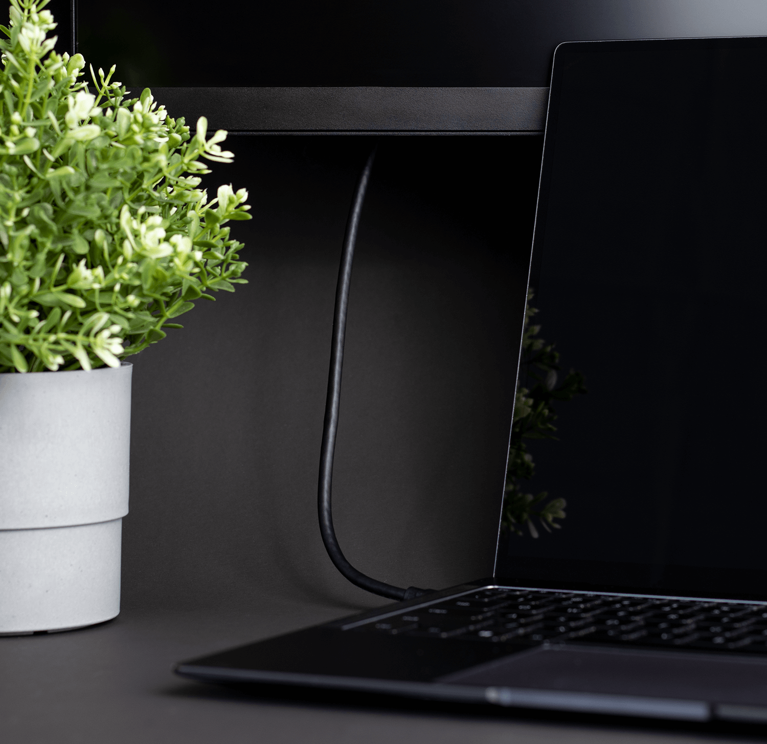 Laptop i roślina stoją na biurku. Kabel łączy laptop z monitorem.