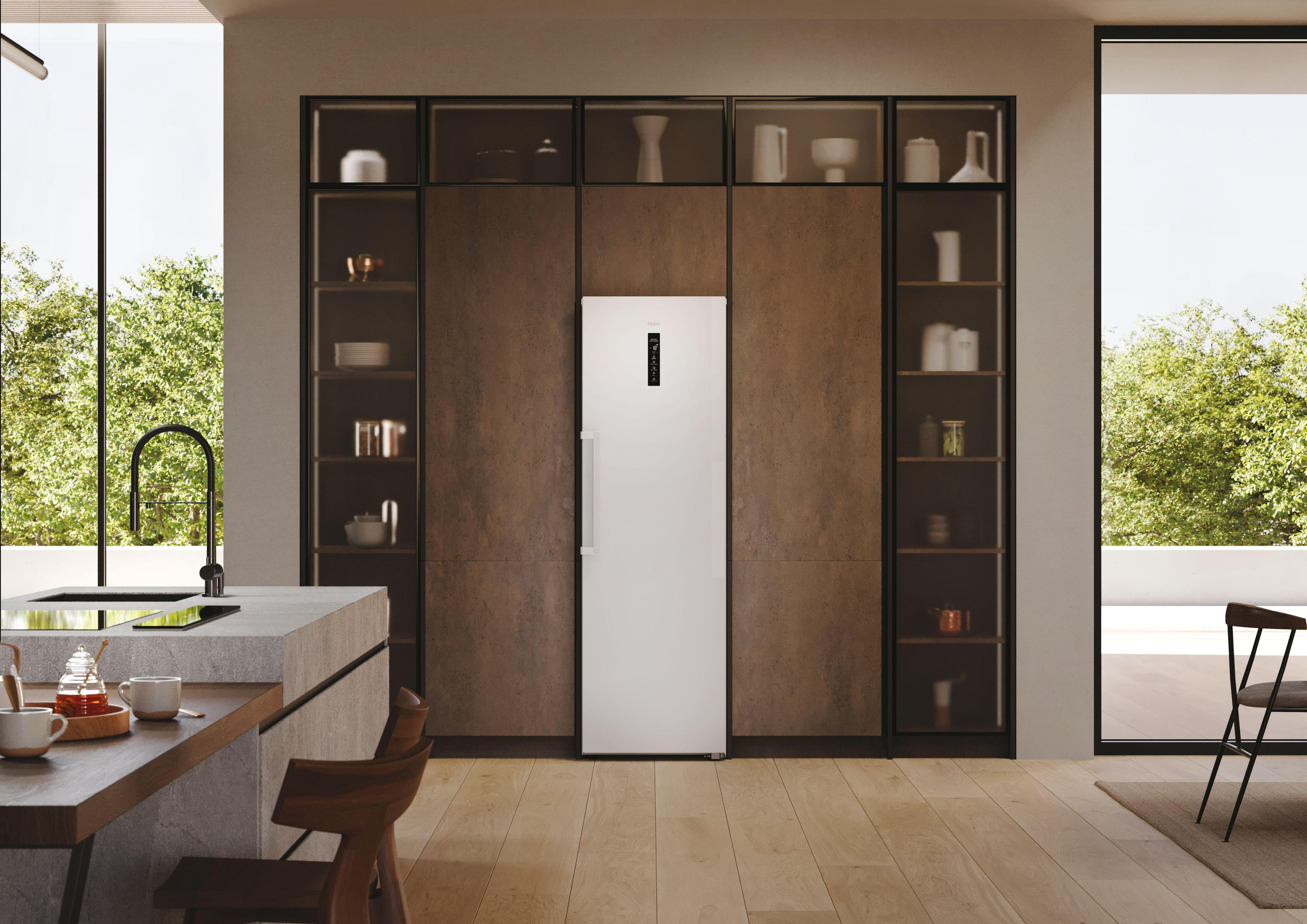 HAIER H4F306WDH1 Gefrierschrank (D, 1900 mm hoch)
