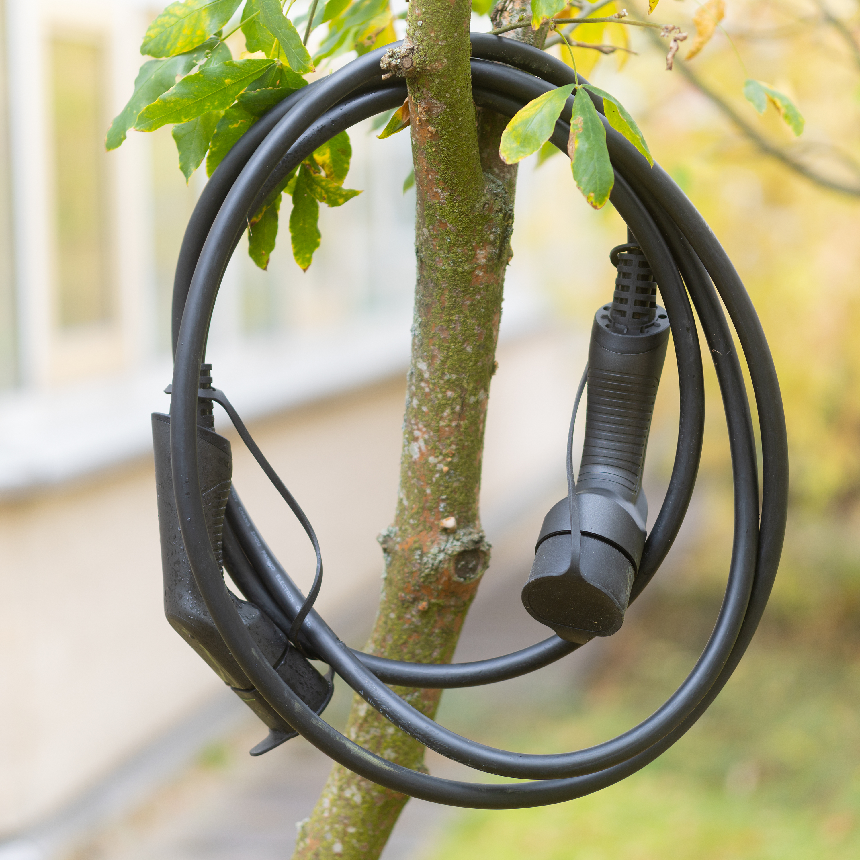Black charging cable looped around a tree branch. Green leaves and blurred background.