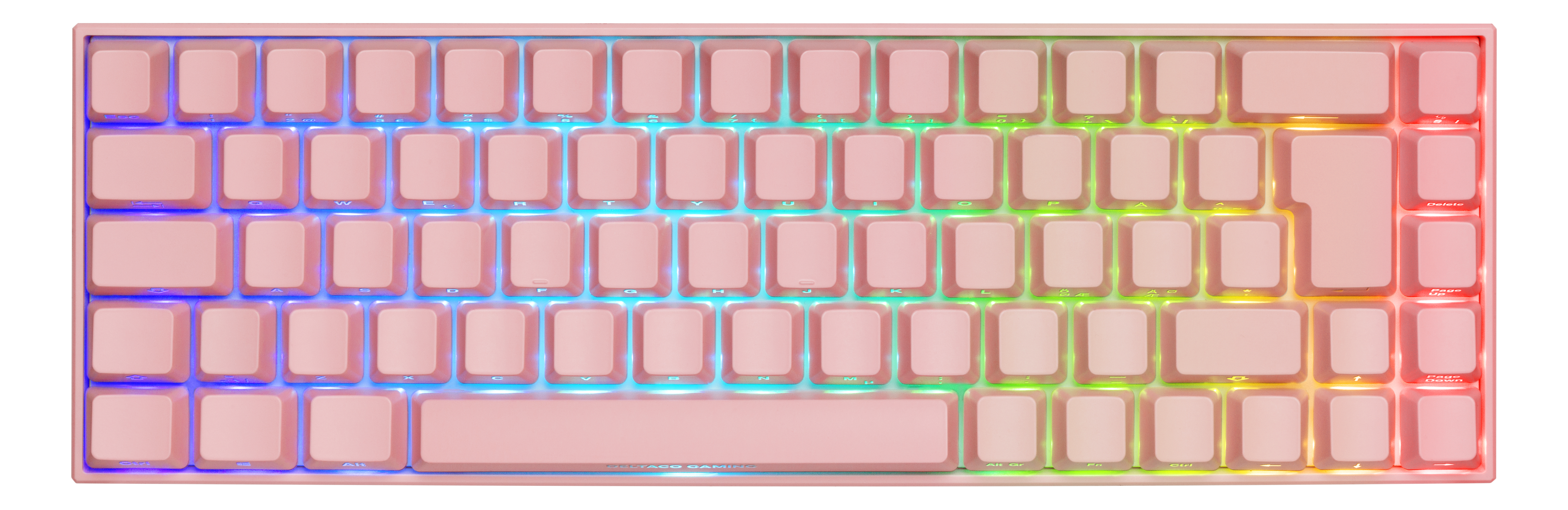 Rosa mechanische Tastatur, Draufsicht. Pinke Tasten mit Regenbogen-LED.