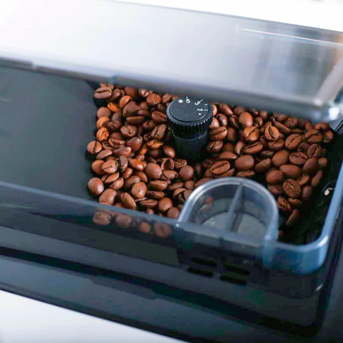 Ziarna kawy w pojemniku, z czarnym pokrętłem na górze. Młynek do kawy.