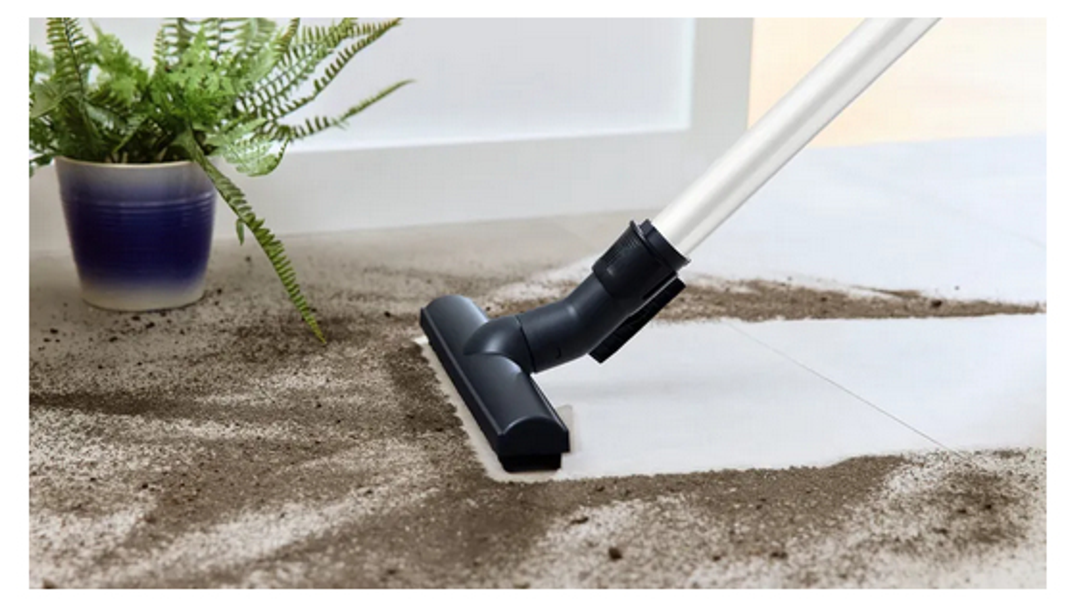 Głowica odkurzacza na podłodze czyszcząca brud. Roślina w niebieskiej doniczce w tle.