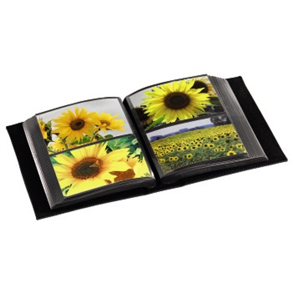 Album fotograficzny otwarty ze zdjęciami słoneczników. Widoczne dwie strony; każda pokazuje wiele zdjęć słoneczników.