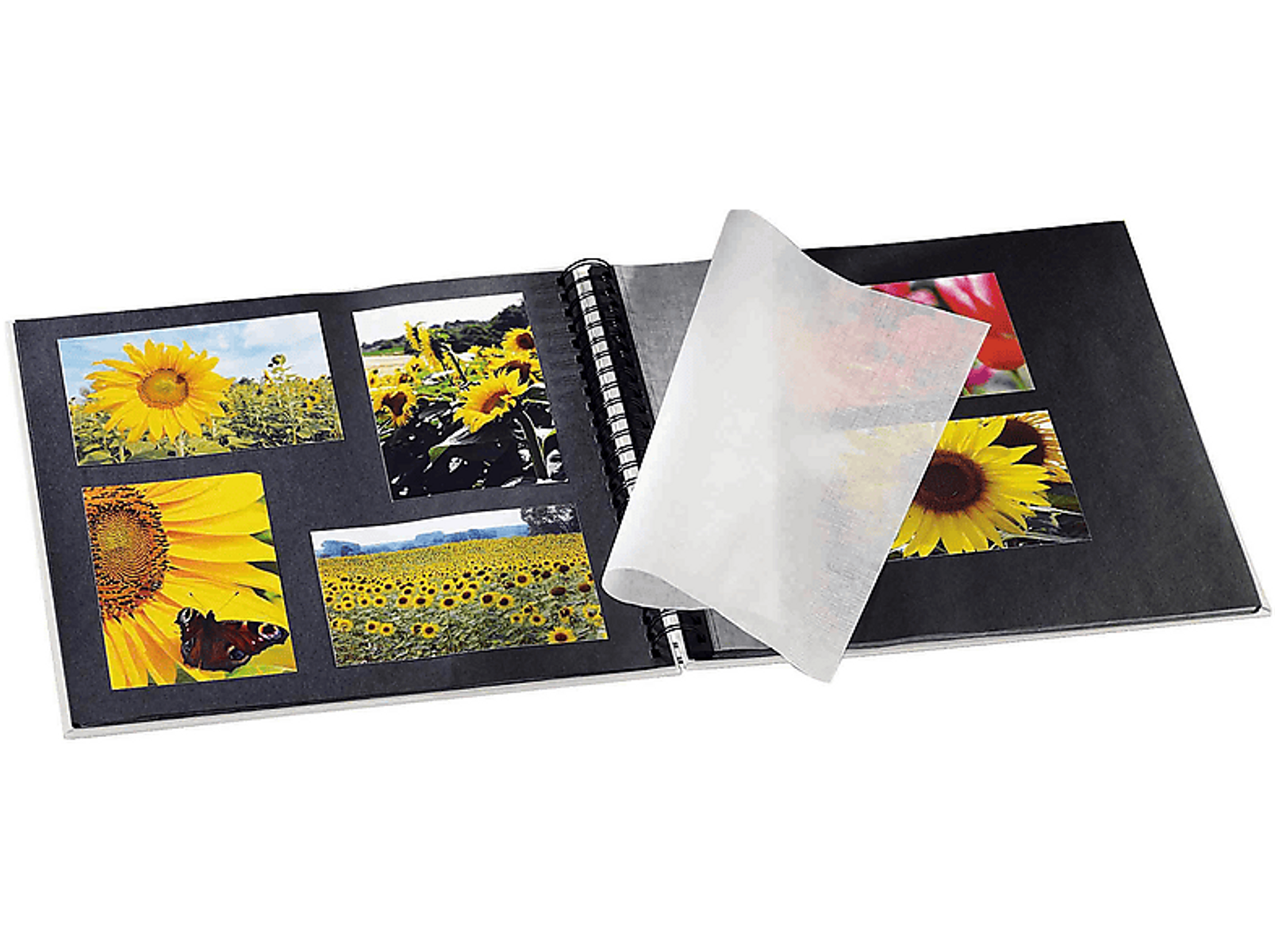 Otwarty album ze zdjęciami słoneczników. Kartka przezroczystego papieru w środku.