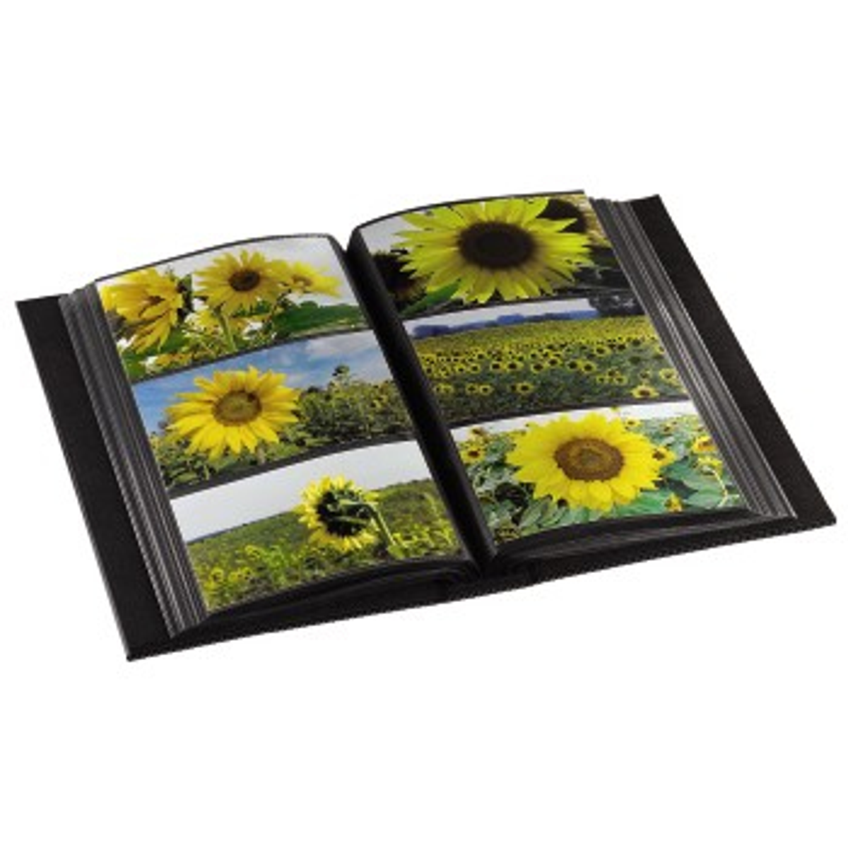 Album ze zdjęciami słoneczników. Czarne strony, kolorowe zdjęcia.