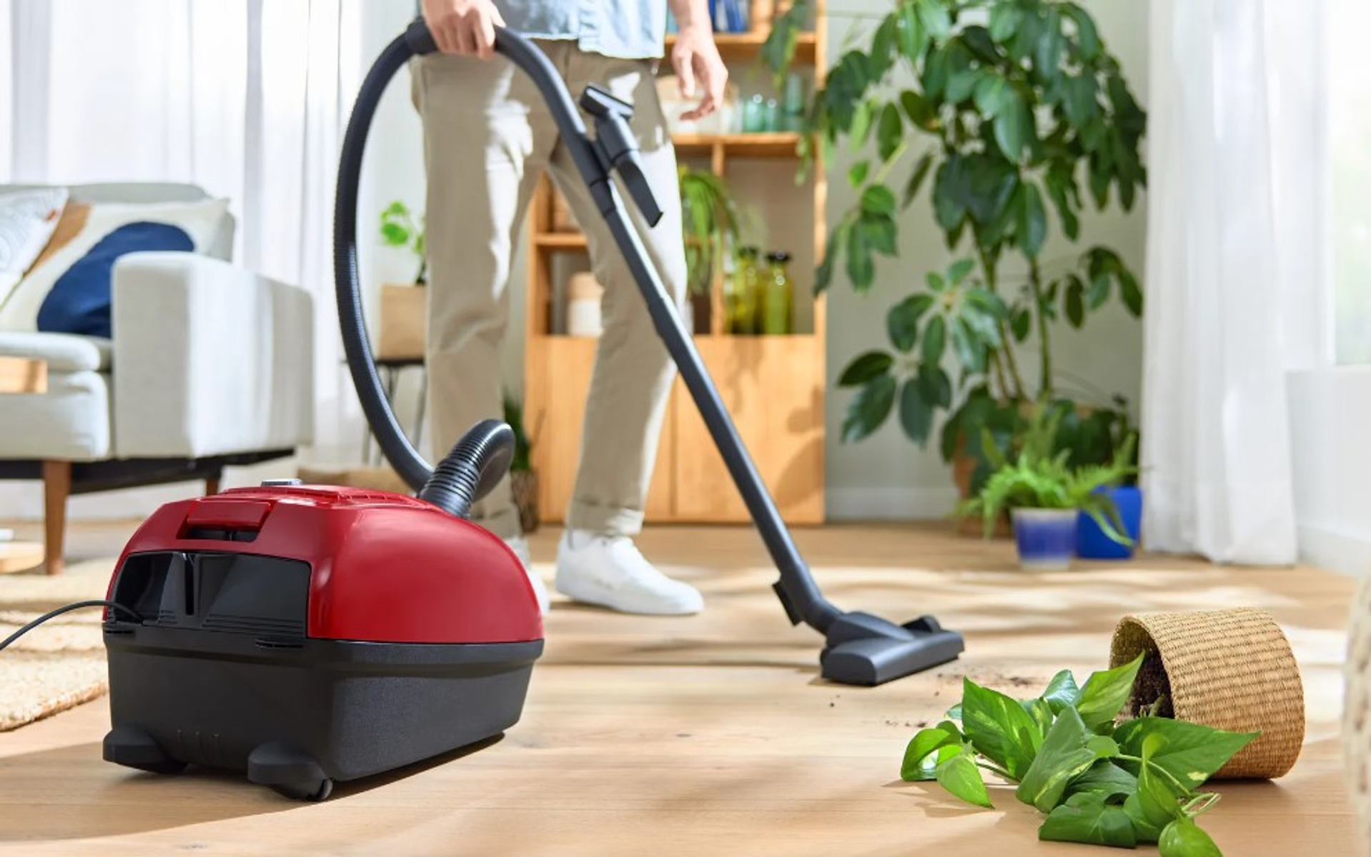 Osoba odkurzająca drewnianą podłogę czerwonym odkurzaczem. Przewrócona roślina doniczkowa.
