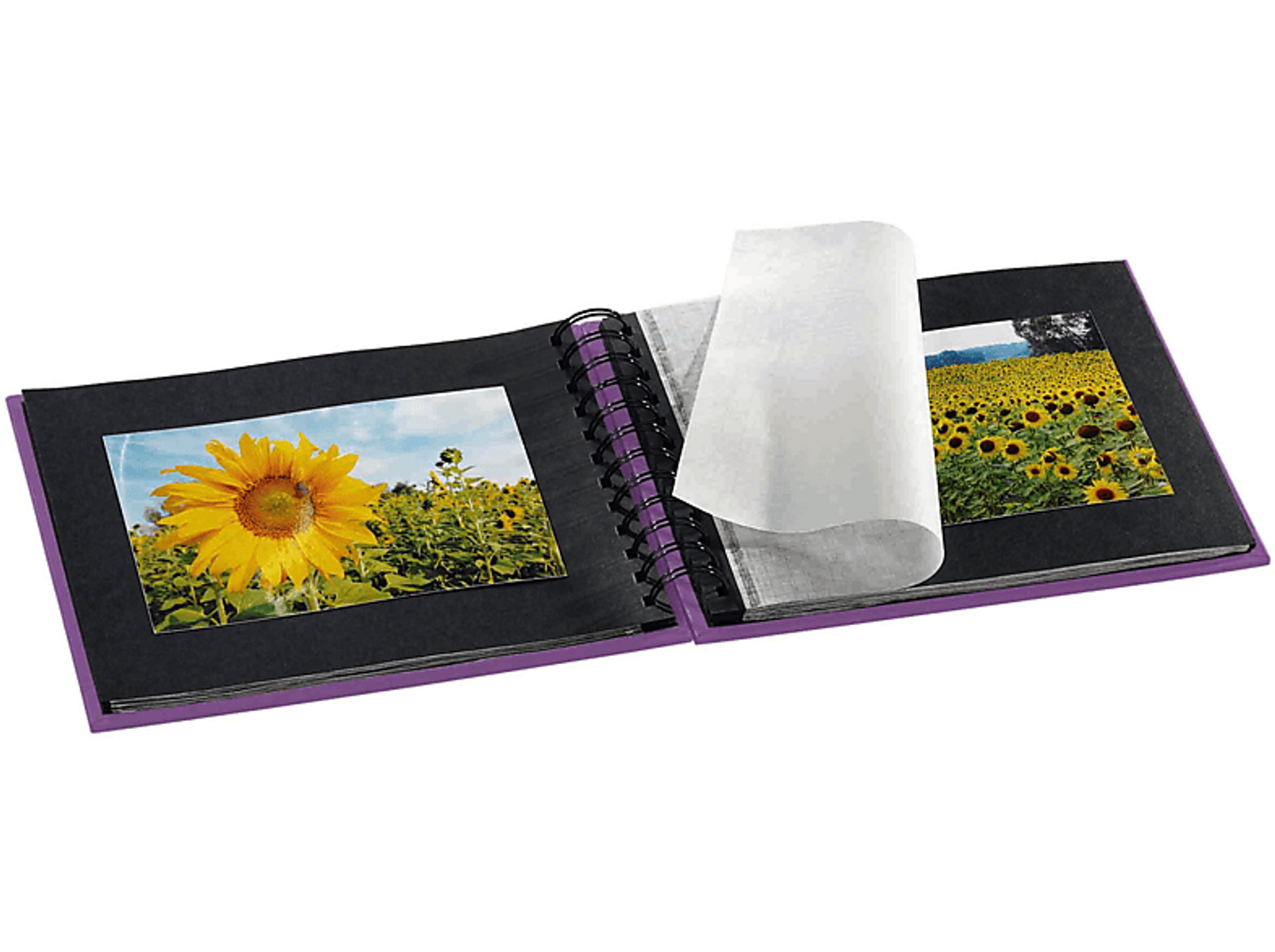 Otwarty album ze zdjęciami pola słoneczników. Album jest fioletowy.