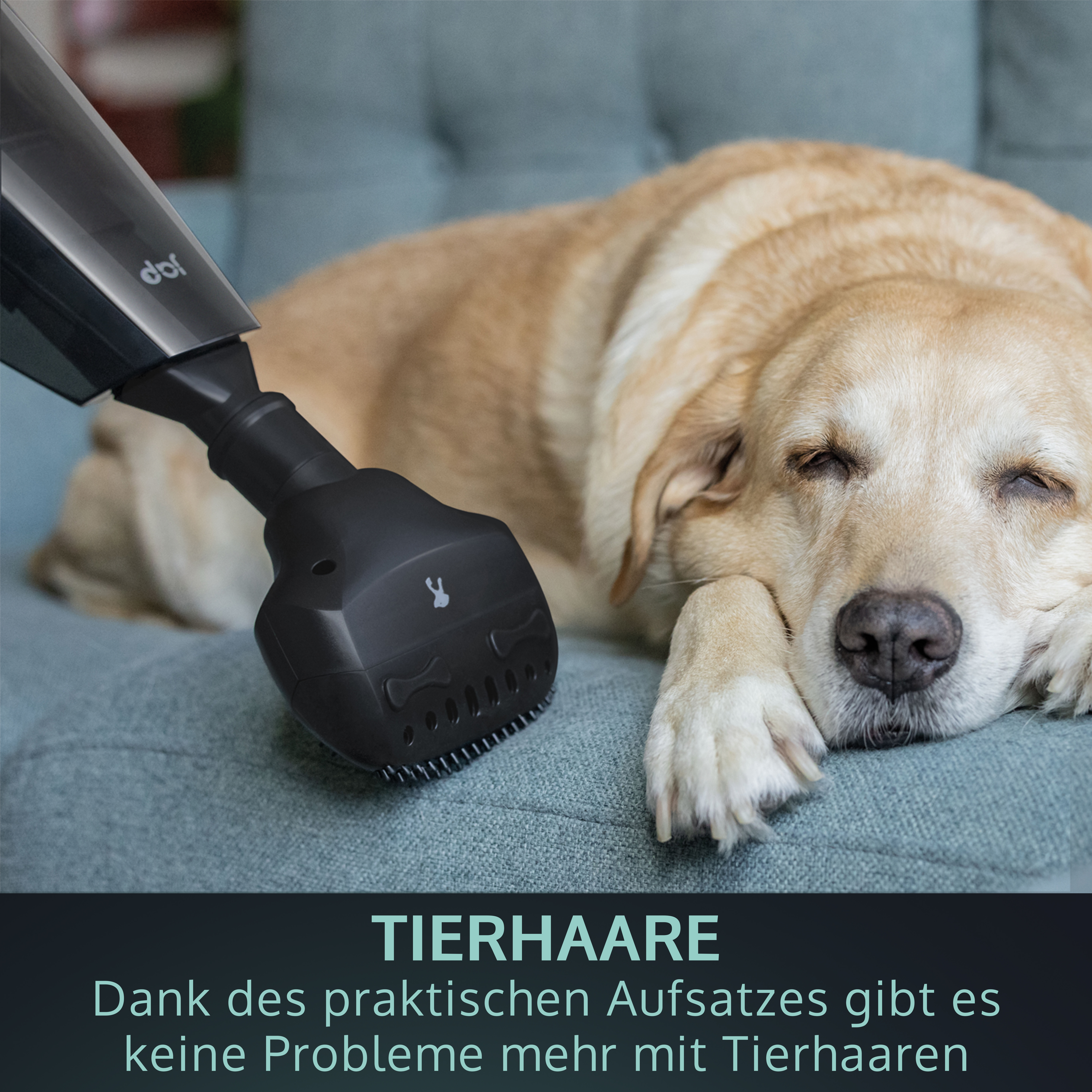 A black pet grooming tool is pointed at a dog. The dog is lying down on a blue couch.