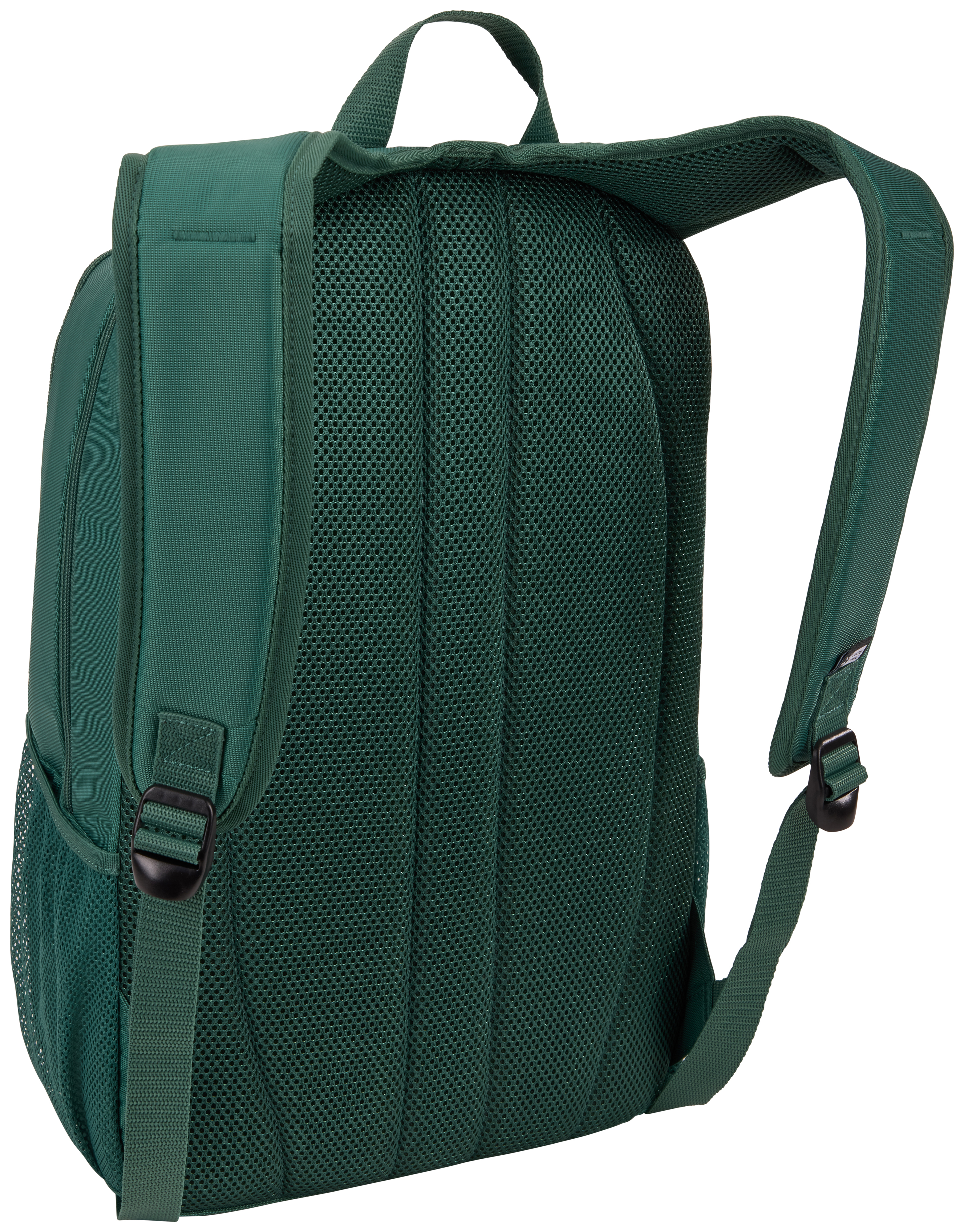 Una mochila verde, vista trasera, que muestra las correas y un panel trasero de malla.