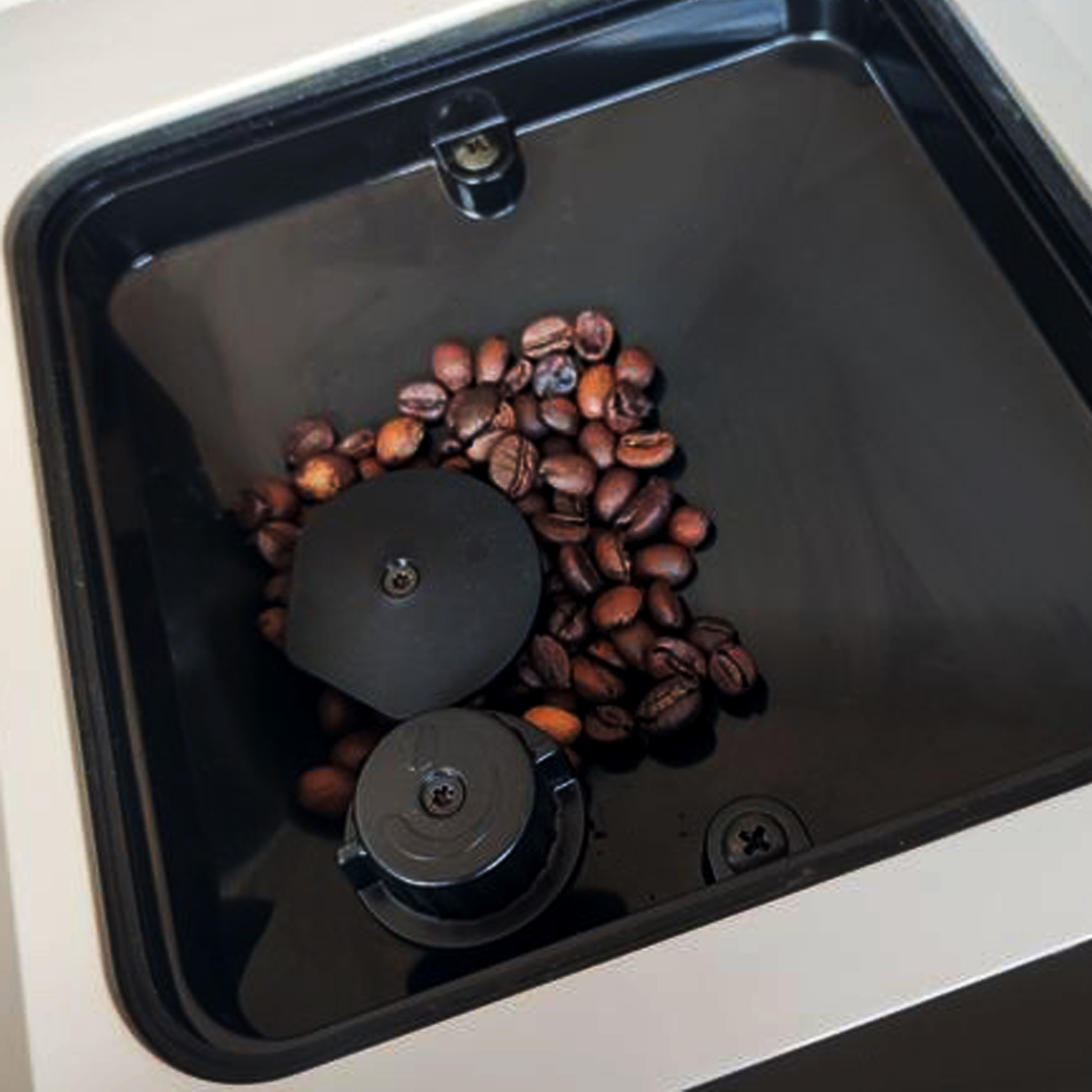 Im Inneren einer Kaffeemühle mit Kaffeebohnen und Mahlkomponenten.