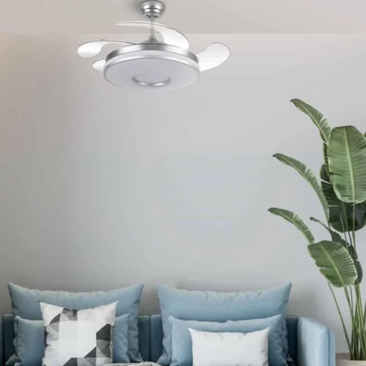 Ventilatore da soffitto sopra un divano blu e una pianta verde in soggiorno.