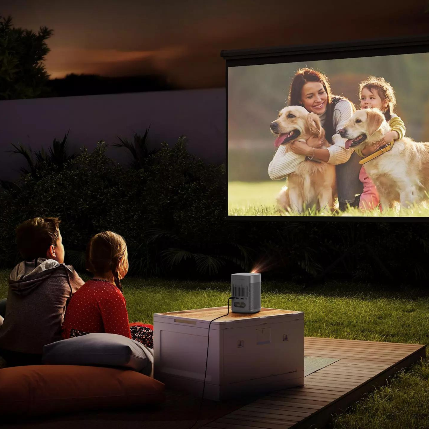 Leute schauen im Freien einen Film auf einer Leinwand. Zwei Hunde sind ebenfalls zu sehen.