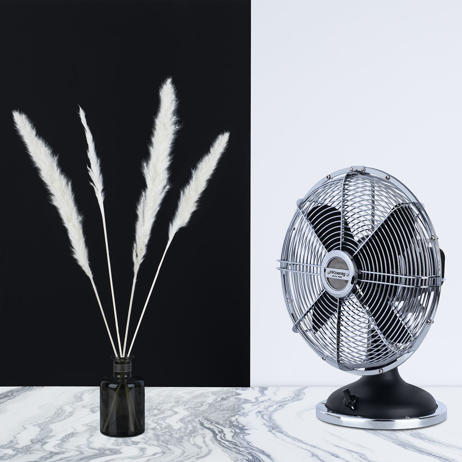 Un ventilatore ed erba della pampa bianca e soffice in una bottiglia scura sono su uno sfondo bianco e nero.