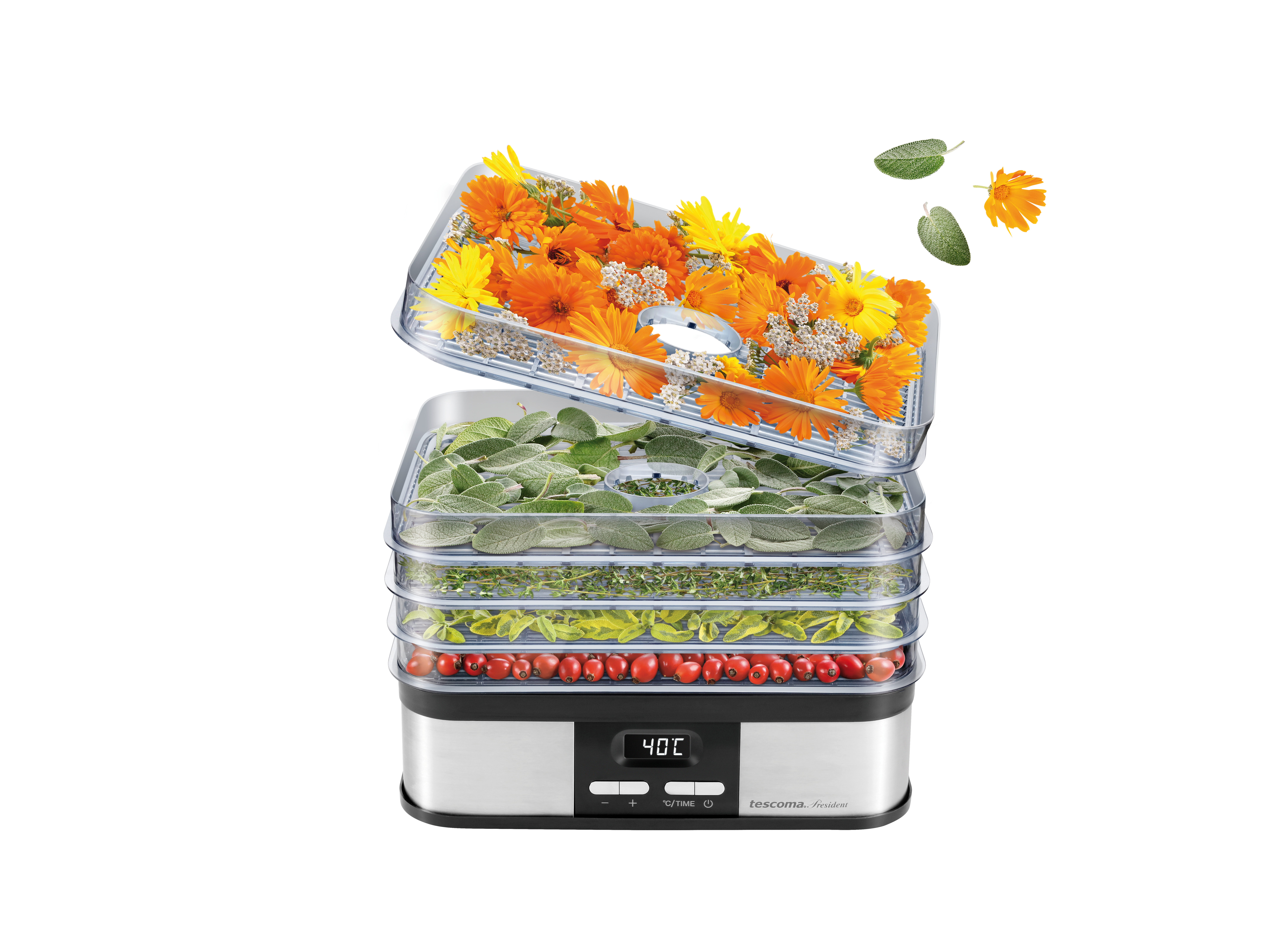 Ein Dörrgerät mit mehreren Tabletts, gefüllt mit Kräutern und Blumen, isoliert auf Weiß.