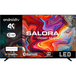 SALORA SMART65TV (2024)