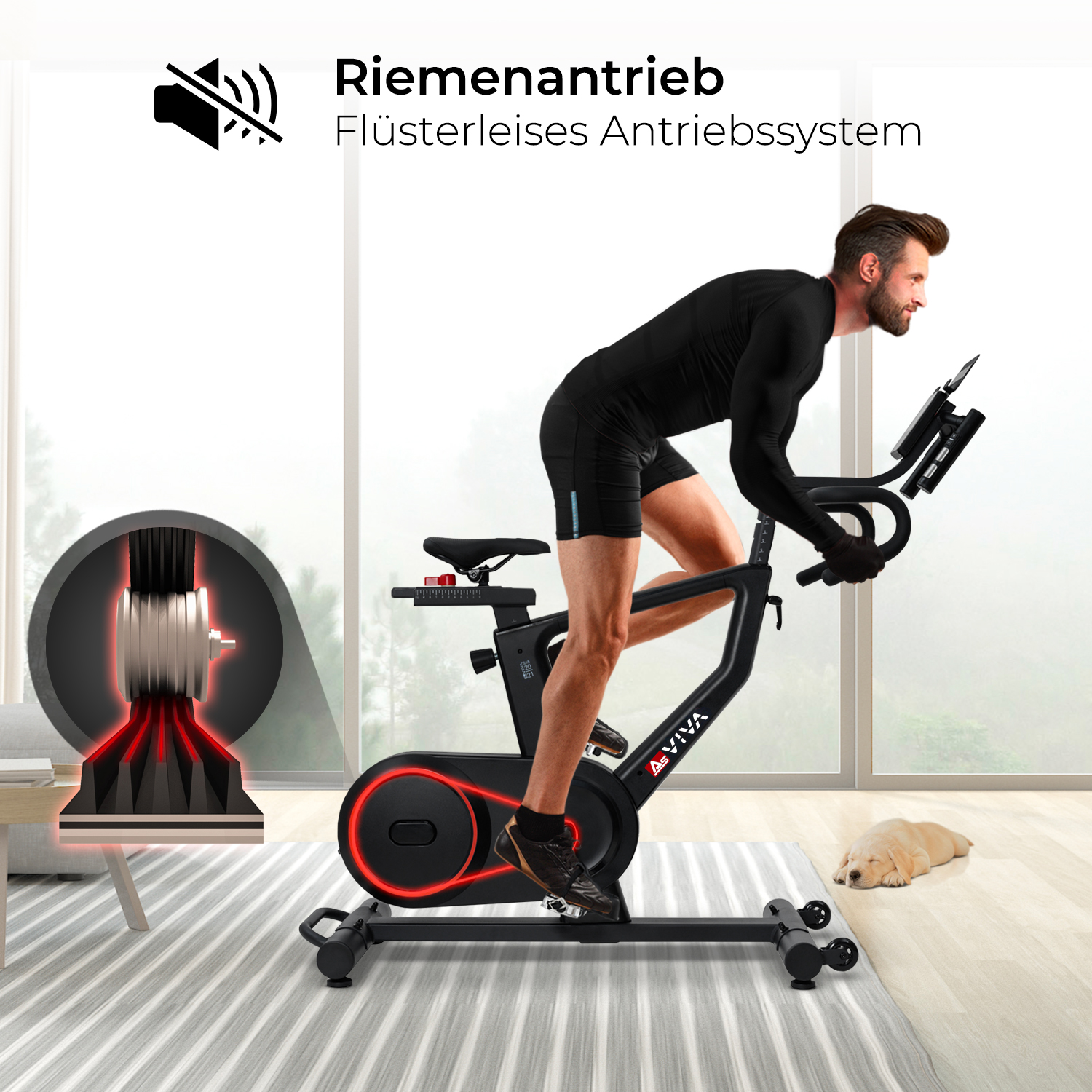 Mann auf einem Heimtrainer. Diagramm des Schwungrads. Ein Hund schläft. Text: Leises Antriebssystem.