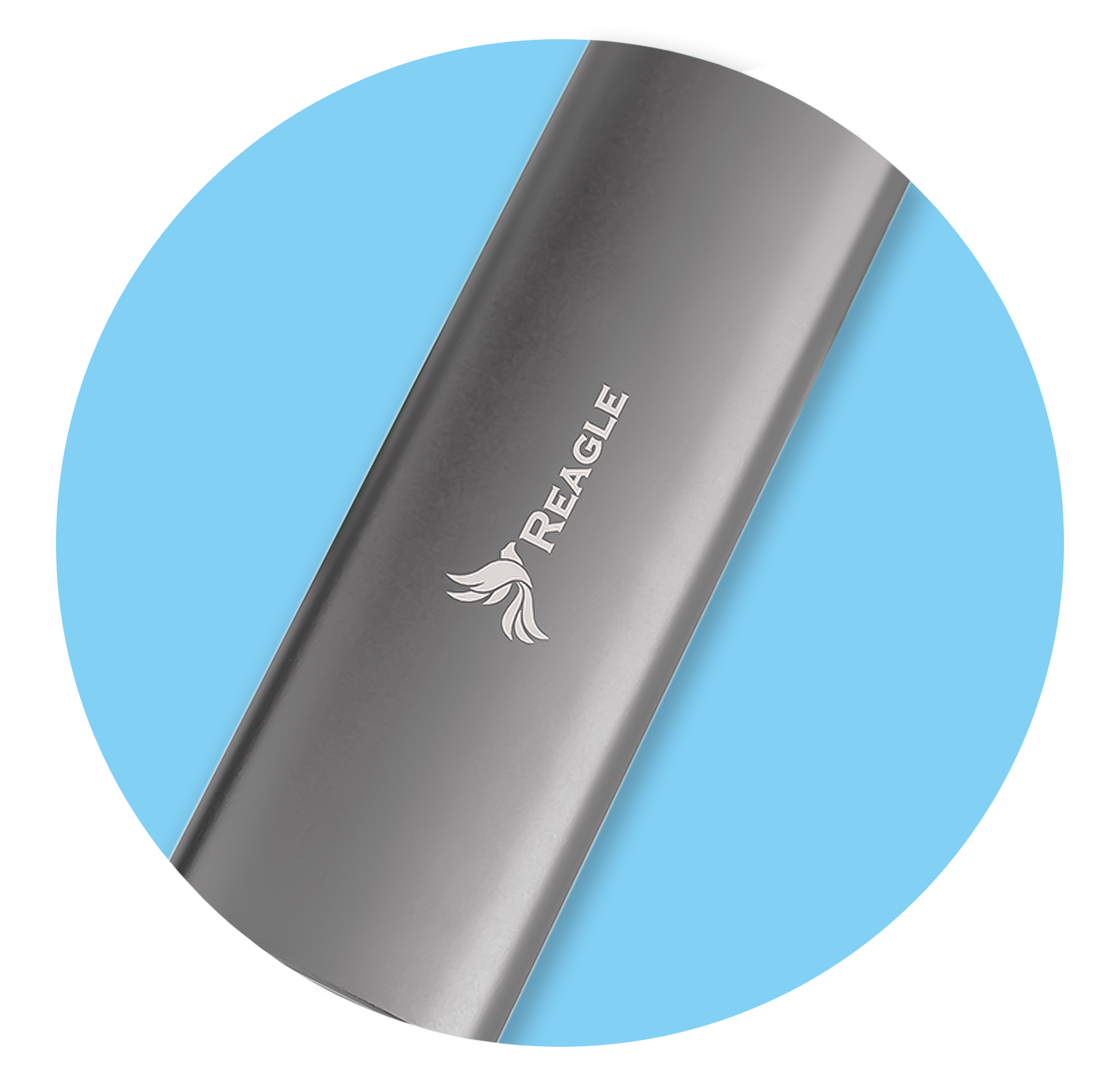 Srebrny, cylindryczny zewnętrzny dysk twardy Reagle, widoczne logo, na niebieskim okrągłym tle.