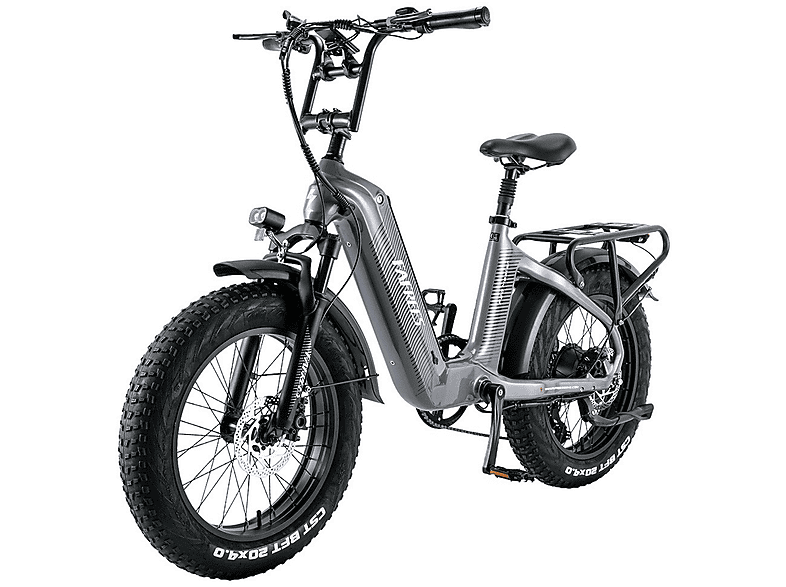 FAFREES F20 Master Mountainbike (Laufradgröße: 20 Zoll, Unisex-Rad, 1080Wh, Grau)