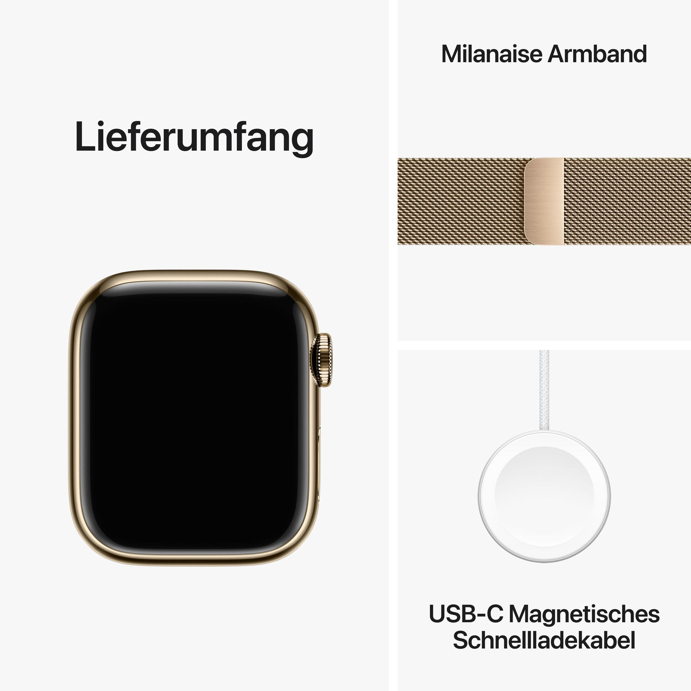 Apple Watch und Zubehör: Milanese Armband, Ladekabel.