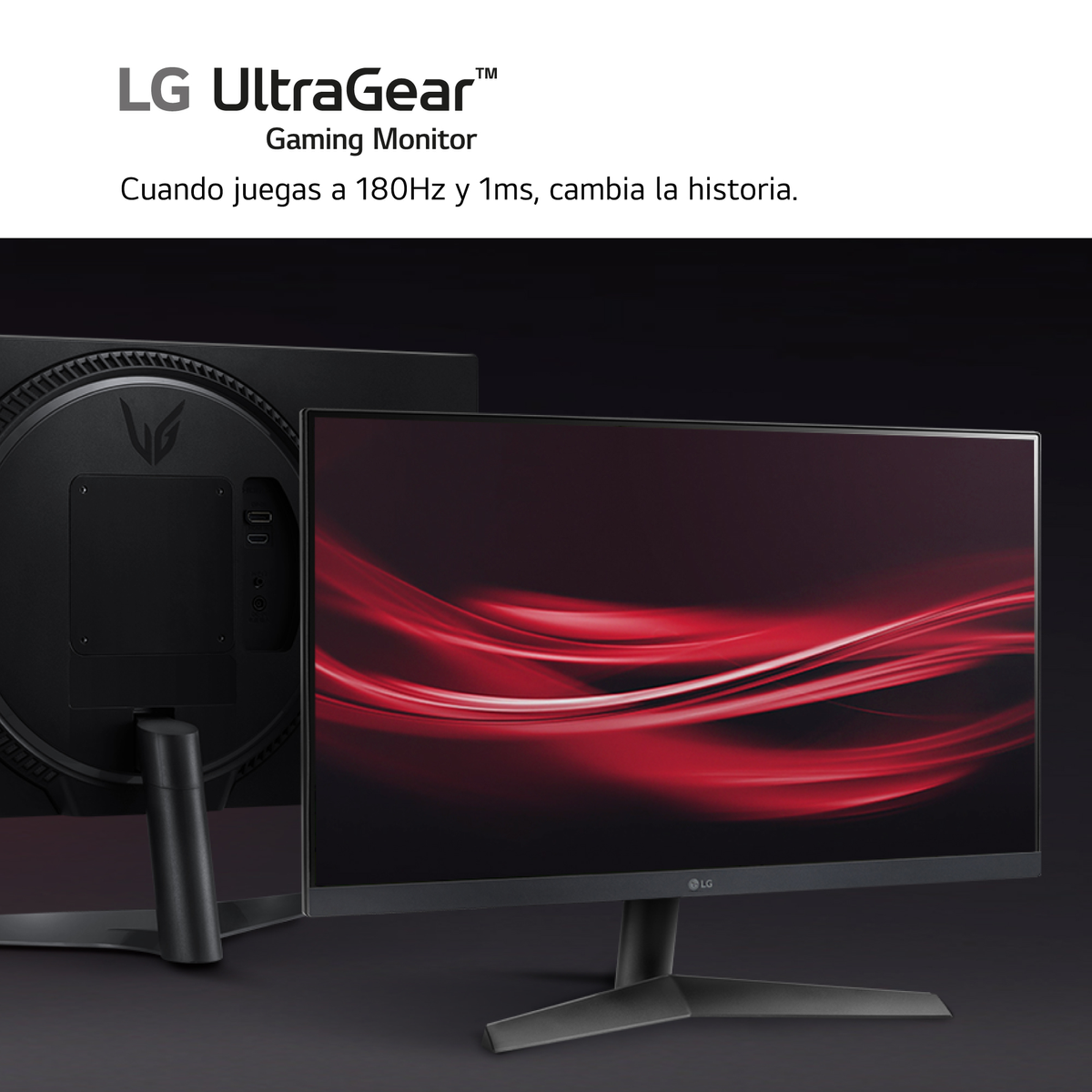 LG 24GS60F | 24 inch - 1920 x 1080 pixels (Full HD) - IPS (In