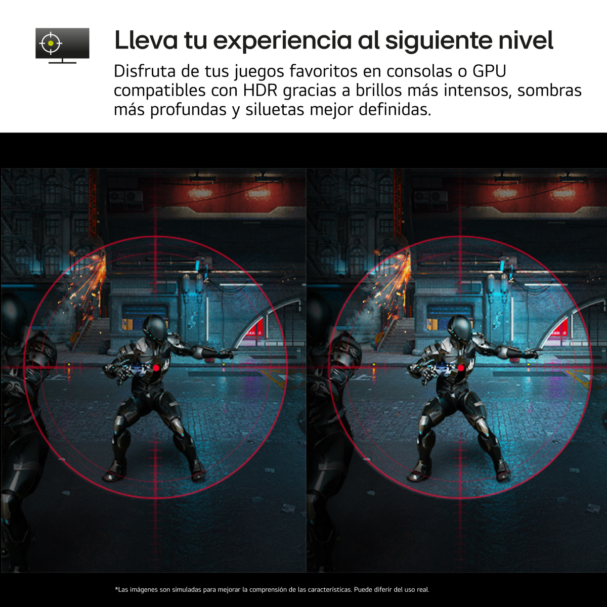 LG 24GS60F - 24 in - 1920 x 1080 pixels (Full-HD) - IPS (In-Plane Switching)