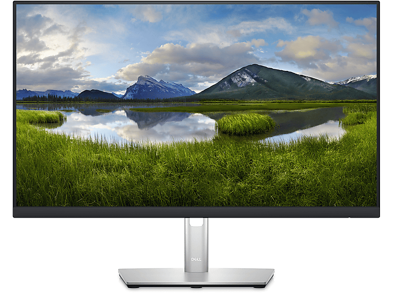 DELL P2423D 23,8 Zoll QHD Business Monitor (5 ms Reaktionszeit , 60 Hz , 60 Hz nativ)