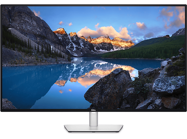 Monitor - DELL DELL-U4323QE