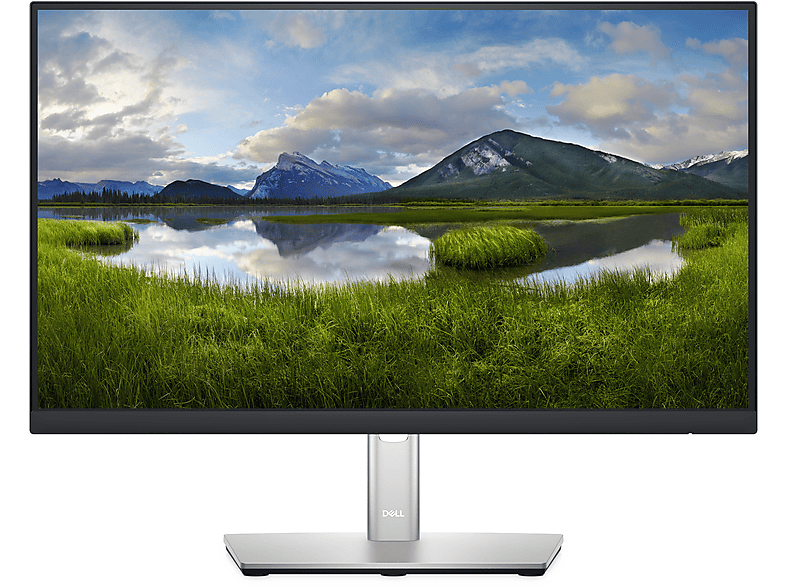 Monitor - DELL DELL-P2222H