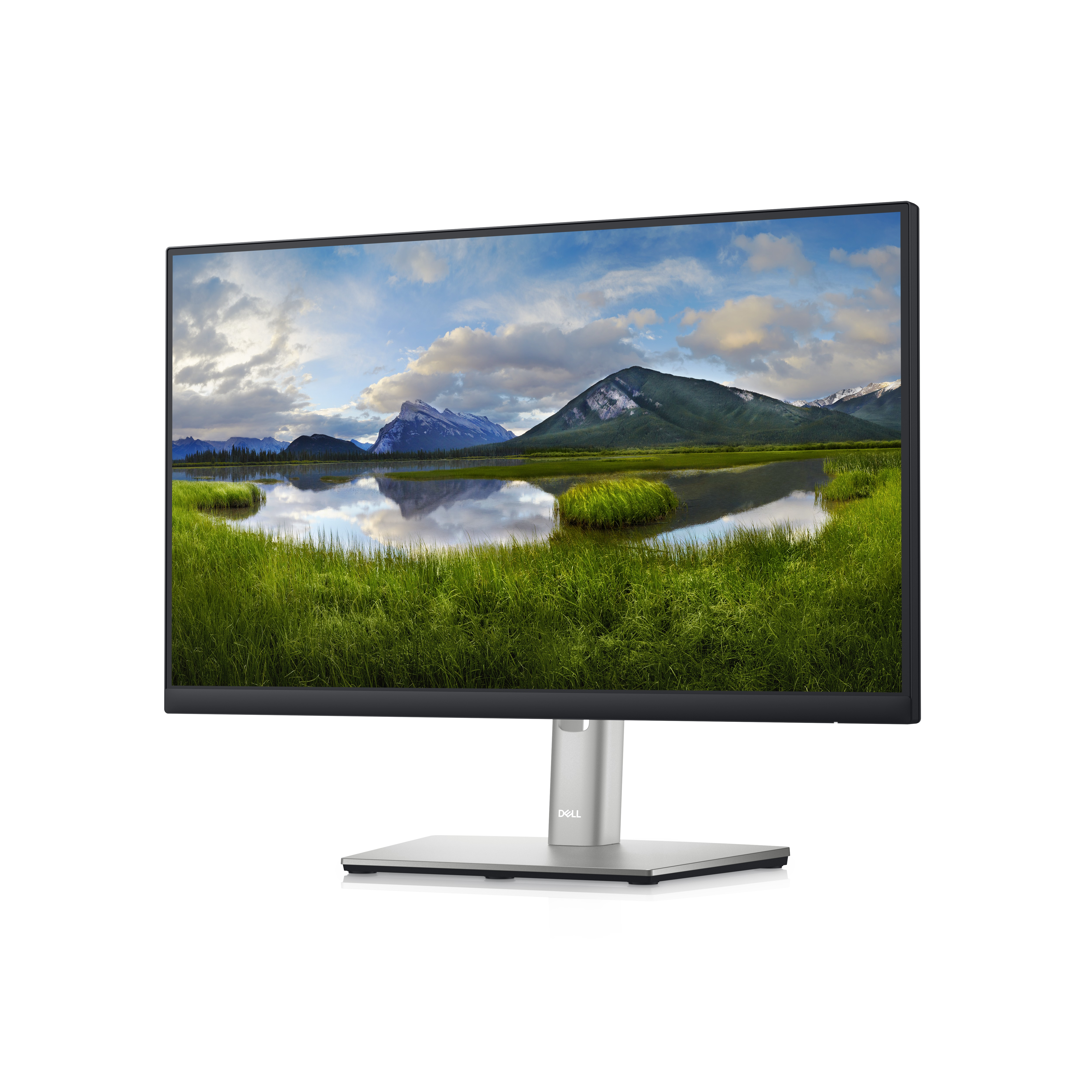 Un monitor Dell muestra un paisaje de campos verdes, agua y montañas bajo un cielo nublado.