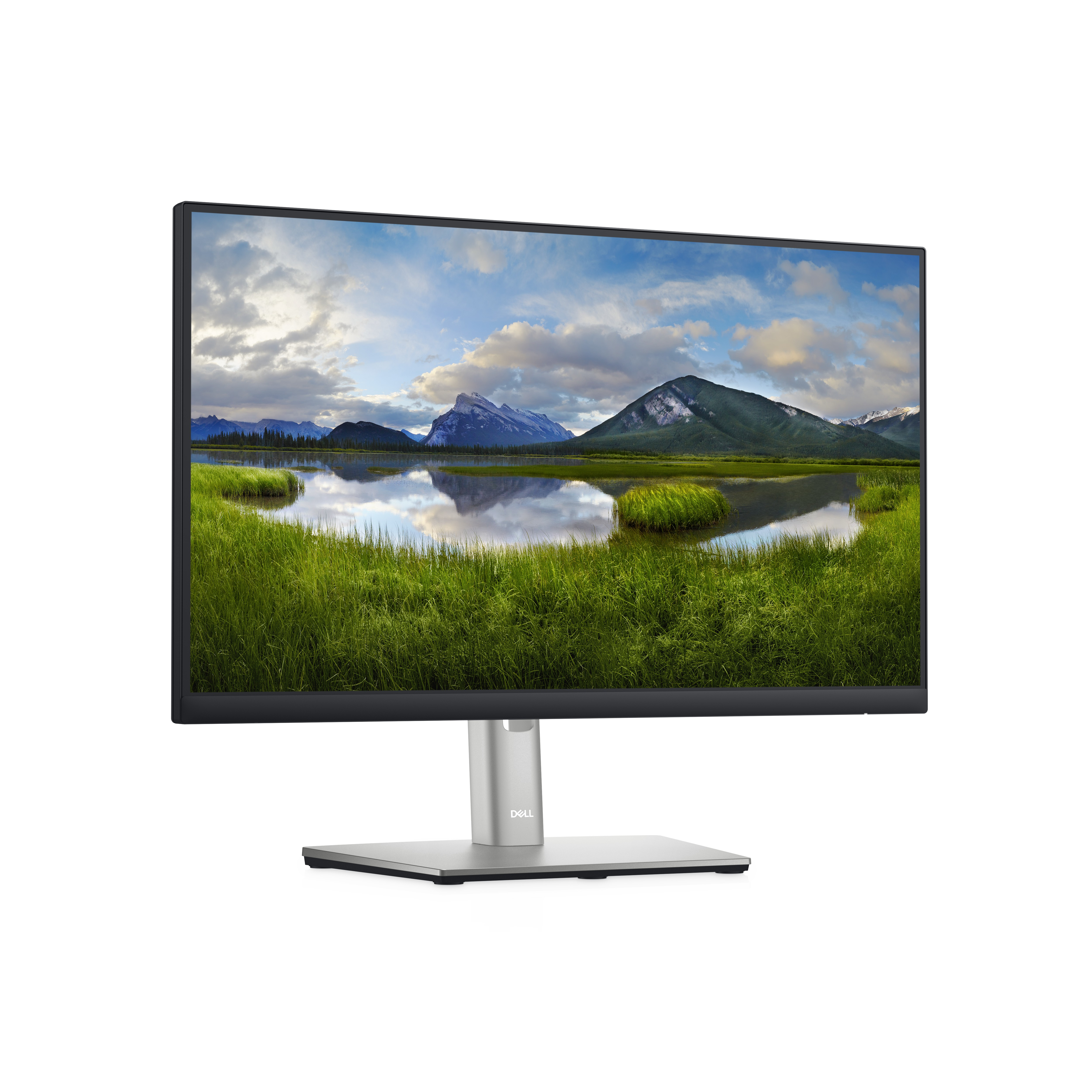 Un monitor Dell que muestra un paisaje verde con un lago. Tiene un soporte plateado.