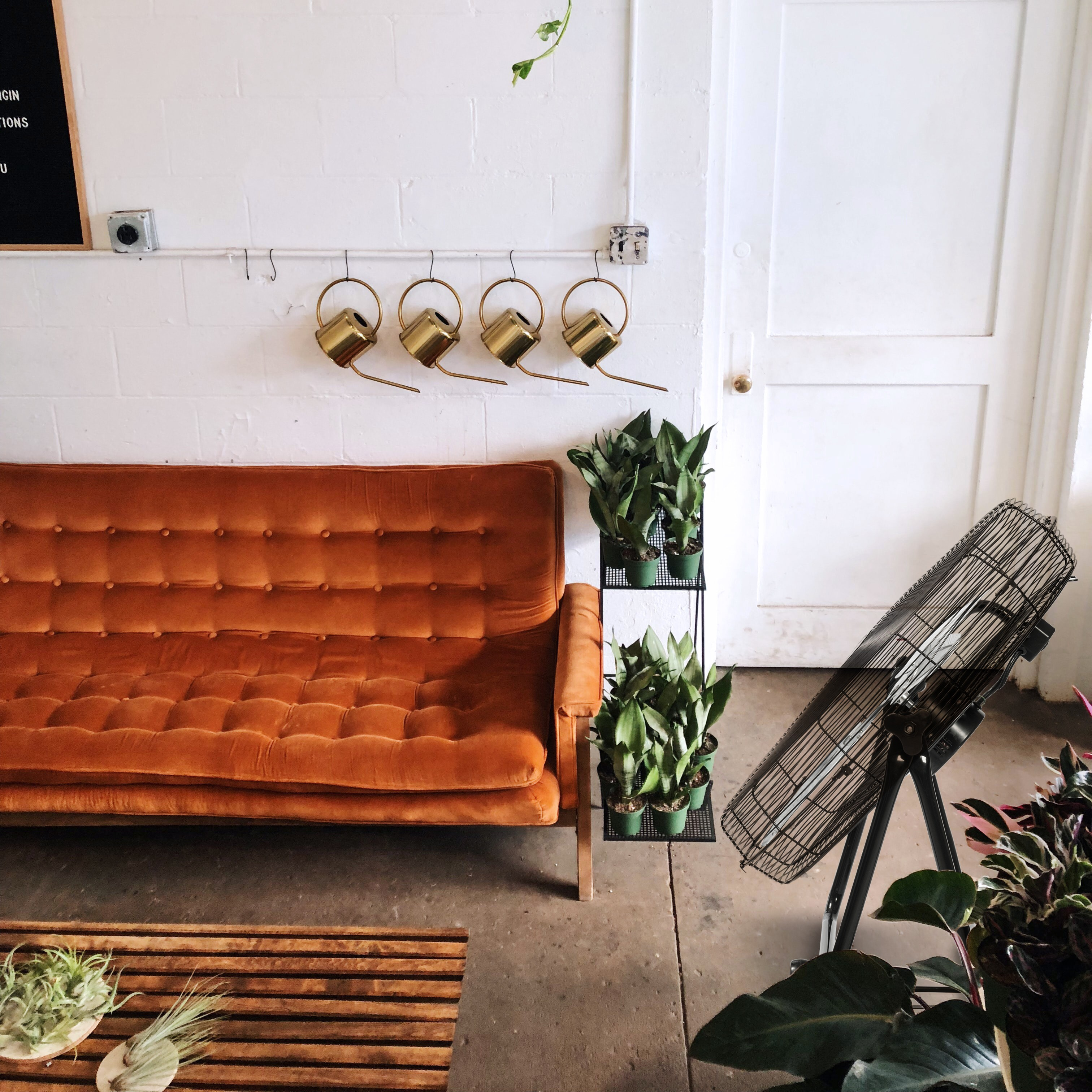 Una habitación con un sofá marrón, plantas, regaderas doradas y un ventilador.