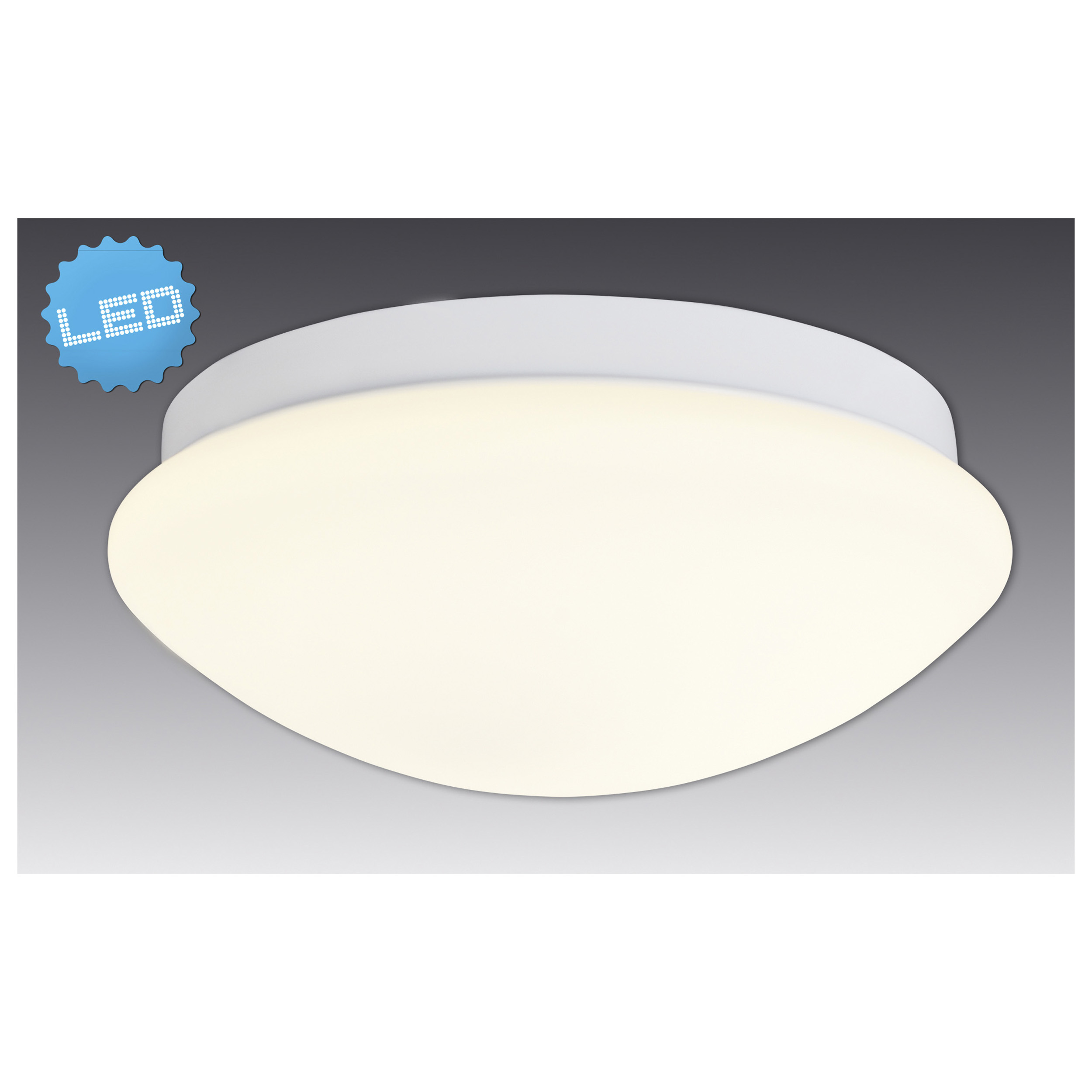 Weiße, ovale Deckenleuchte mit LED-Kennzeichnung. Weißer und grauer Hintergrund.