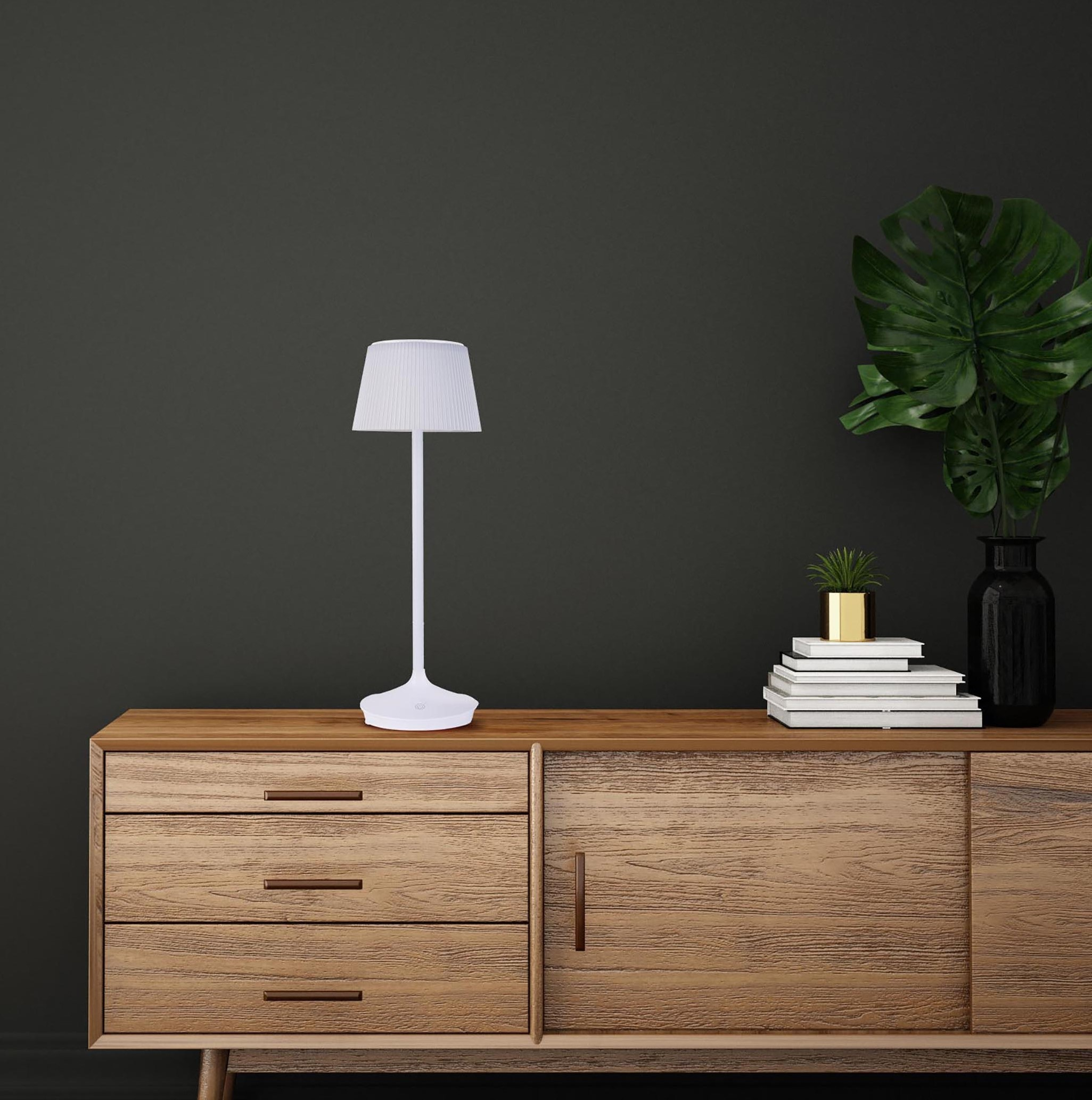 Weiße Lampe auf einem Holzschrank, mit Büchern und Pflanze.