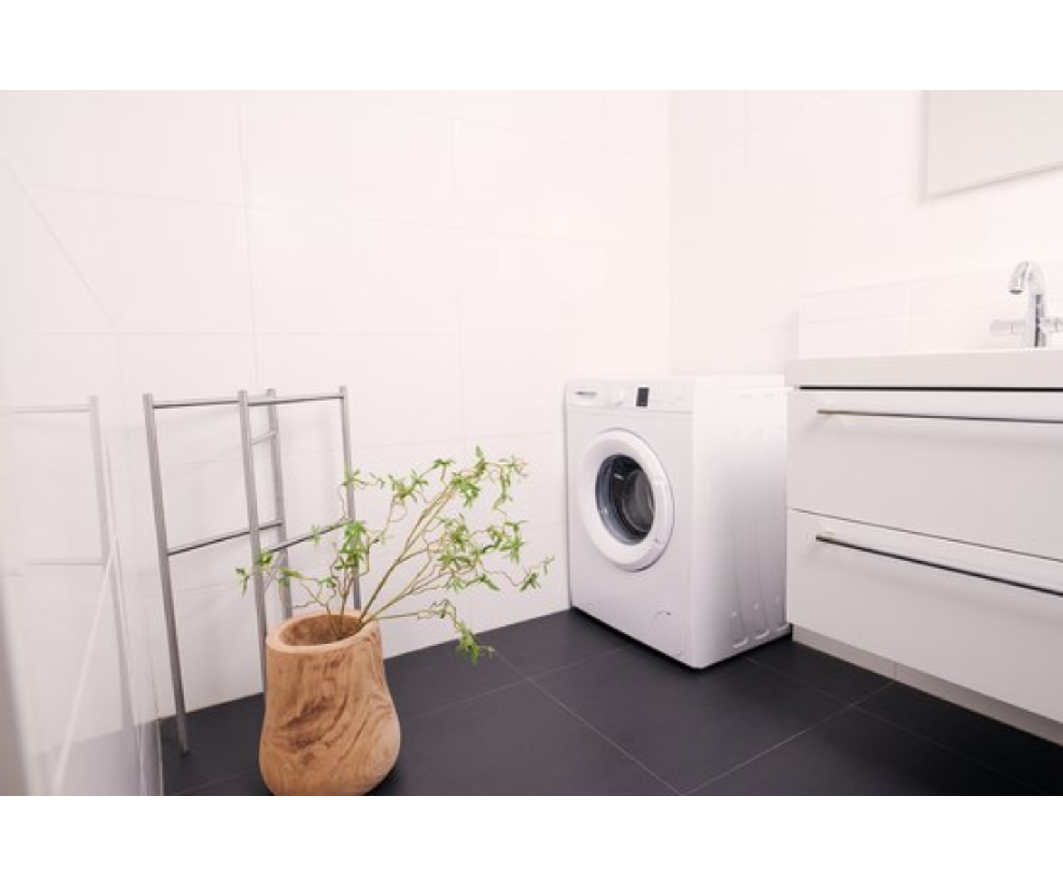 Bathroom with white walls and black floor tiles. A washing machine, plant, and sink are present.
