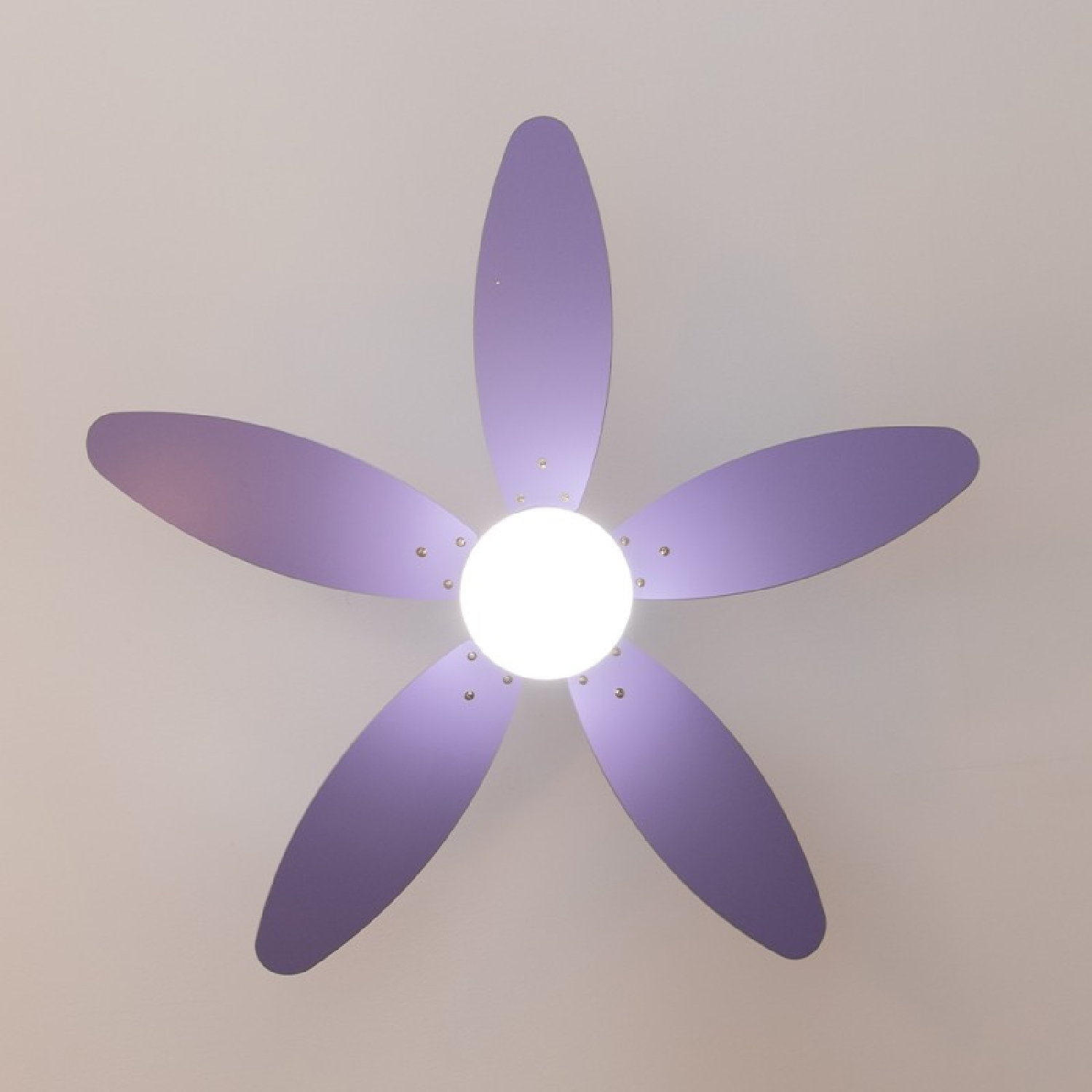 Lila Deckenventilator mit fünf Flügeln und Licht, vor Weiß.