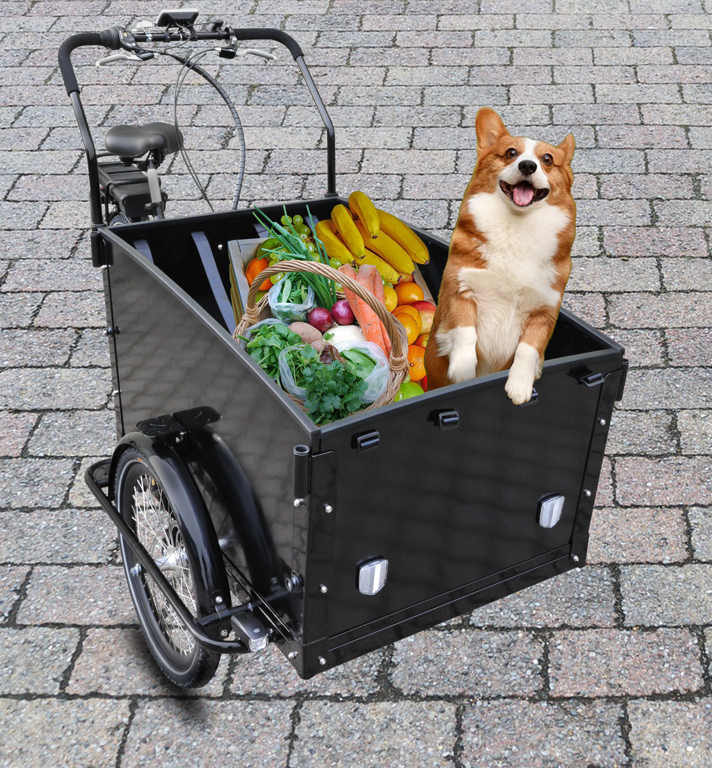 Schwarzes Lastenrad mit Lebensmitteln und einem Hund, auf Kopfsteinpflaster.