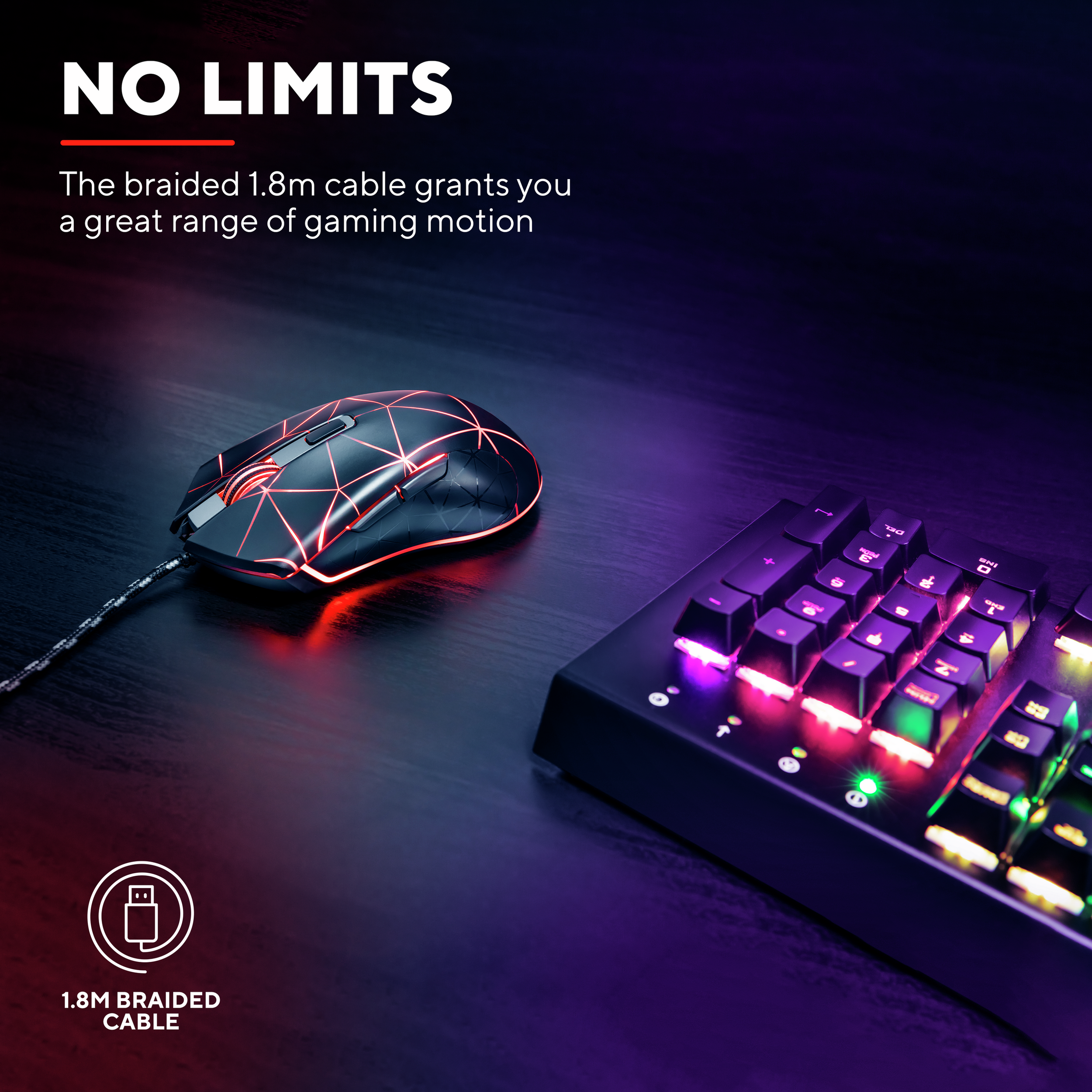 Gaming mouse and keyboard on a dark surface. Keyboard keys light up. Text reads 'No Limits'.