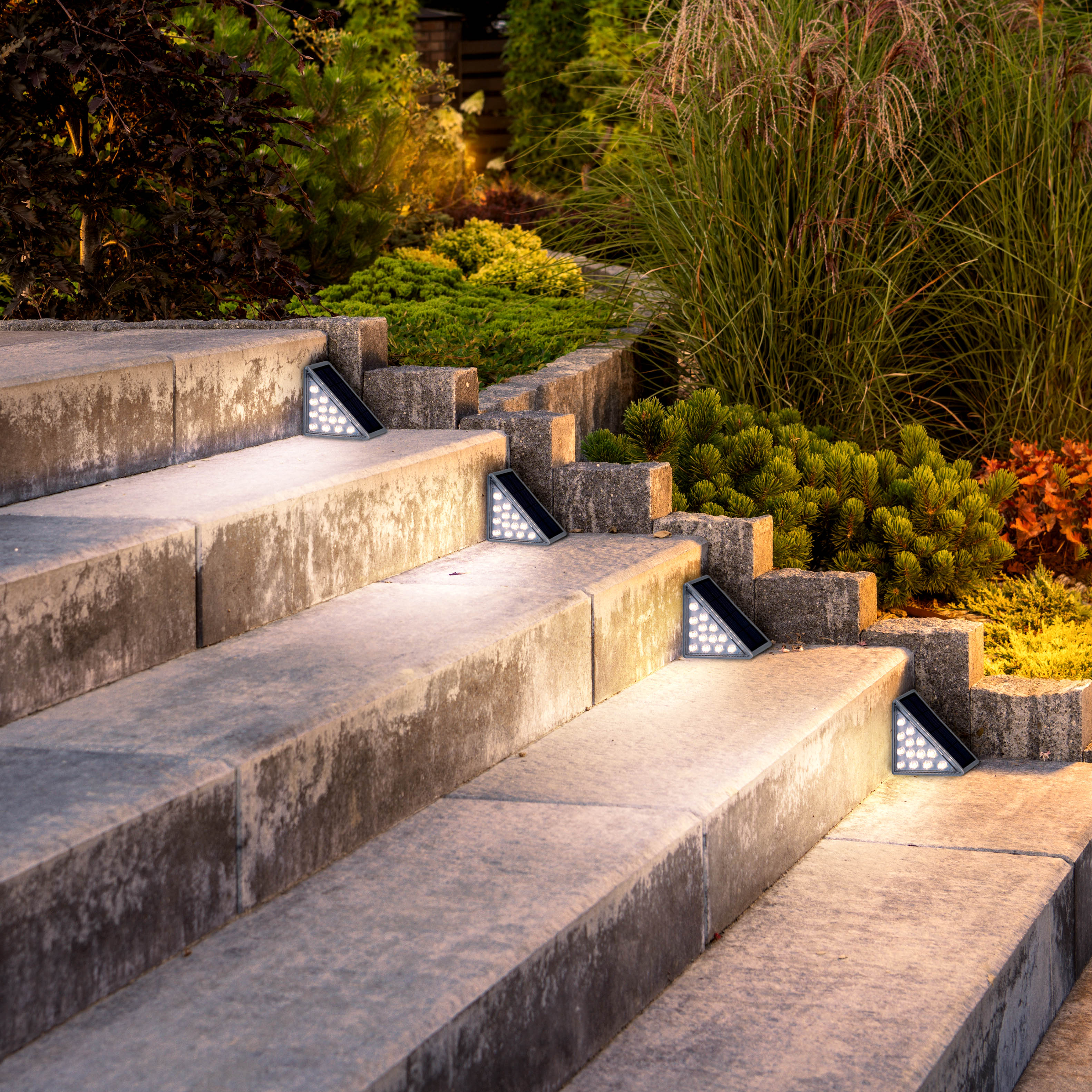 Treppe mit Betonstufen. Kleine schwarze Lichter sind in den Seiten der Stufen installiert und beleuchten sie.