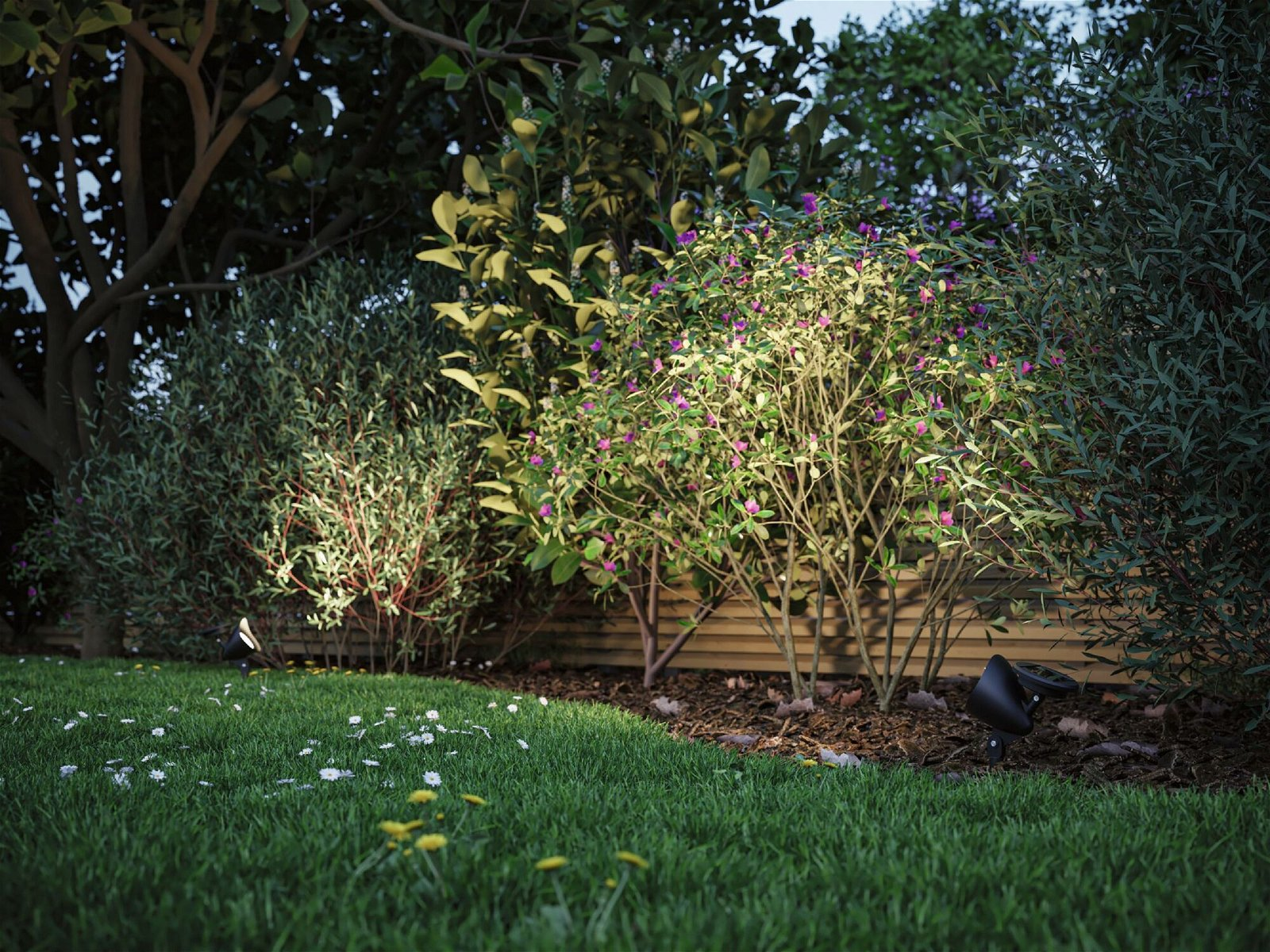 Grünes Gras, Büsche mit rosa Blüten und Scheinwerfer beleuchten den Garten.